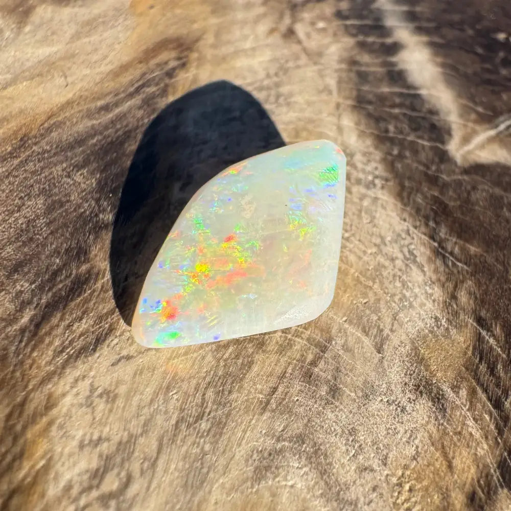 Iridescent opal gemstone in Coober Pedy Belemnite Opal 2.1 carat fossilized squid example