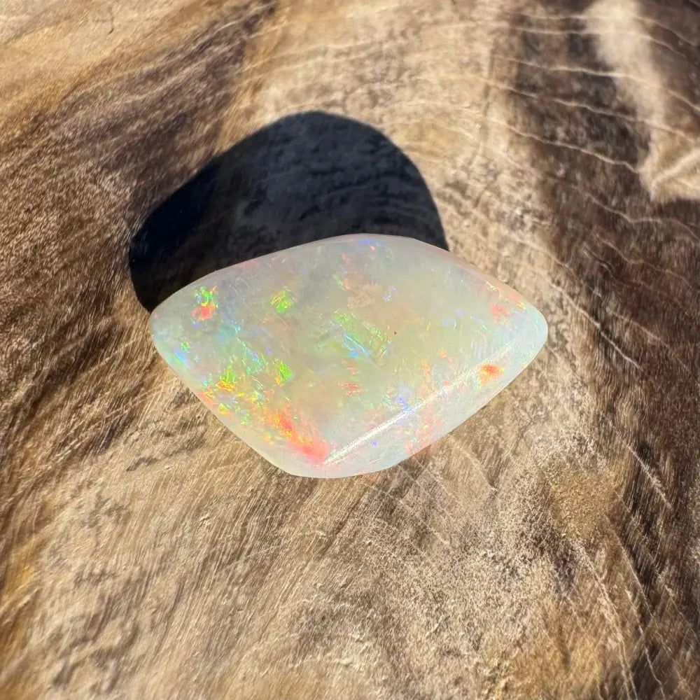 Iridescent Opal gemstone from Coober Pedy Belemnite Fossilised Squid 2.1 carats