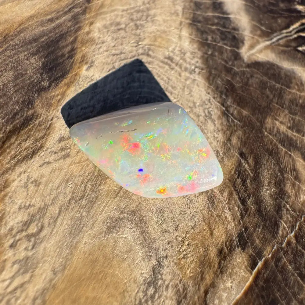 Iridescent Opal gemstone from Coober Pedy Belemnite fossilized squid specimen