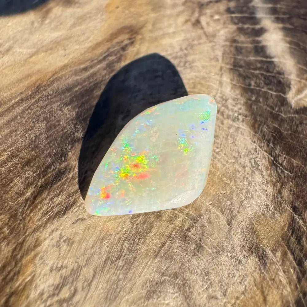 Iridescent opal gemstone from Coober Pedy Belemnite Opal fossilized squid display
