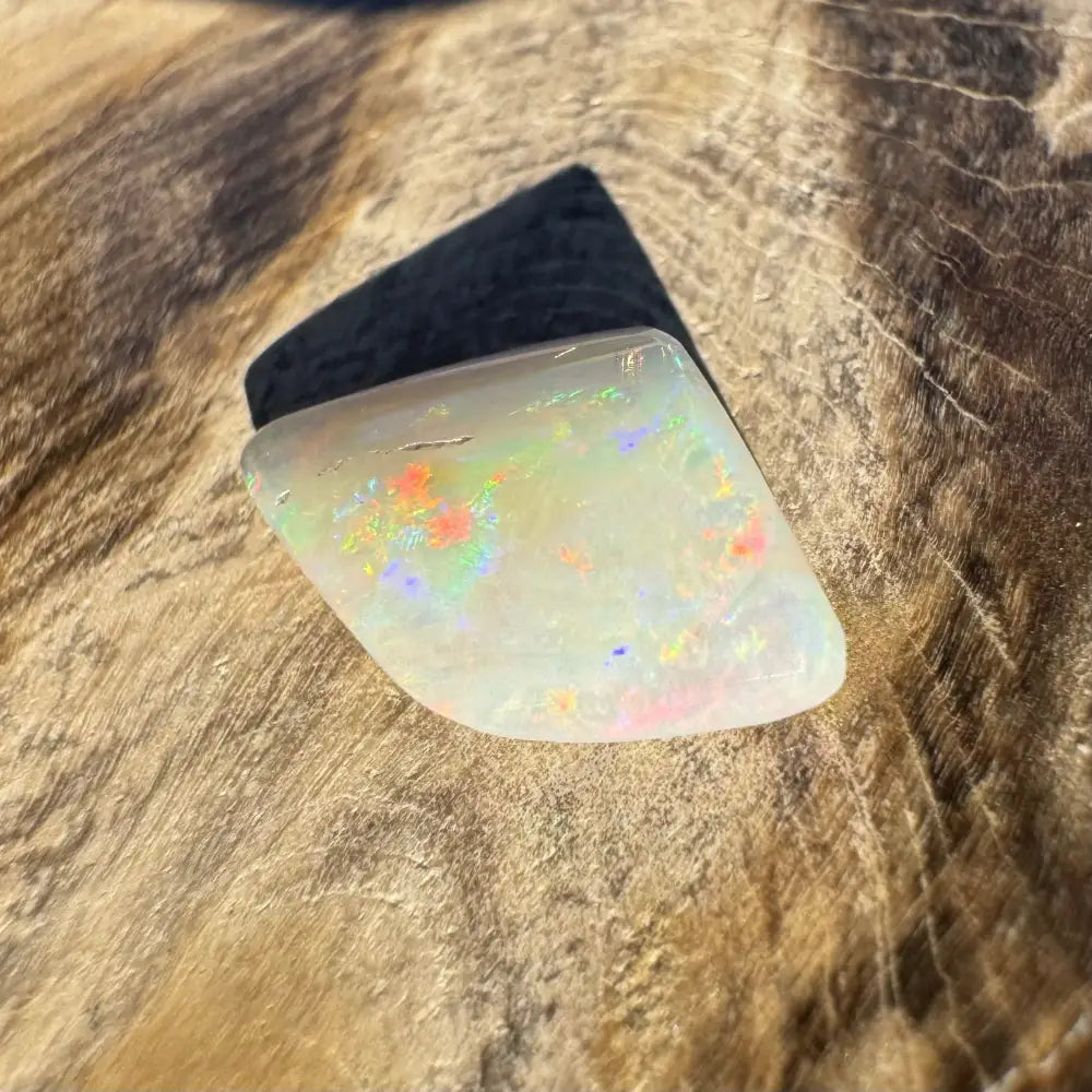 Iridescent opal gemstone from Coober Pedy Belemnite Opal fossilized squid in 2.1 carats