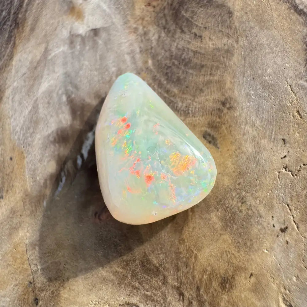 Polished Coober Pedy Opal gemstone showing vibrant colorful flashes