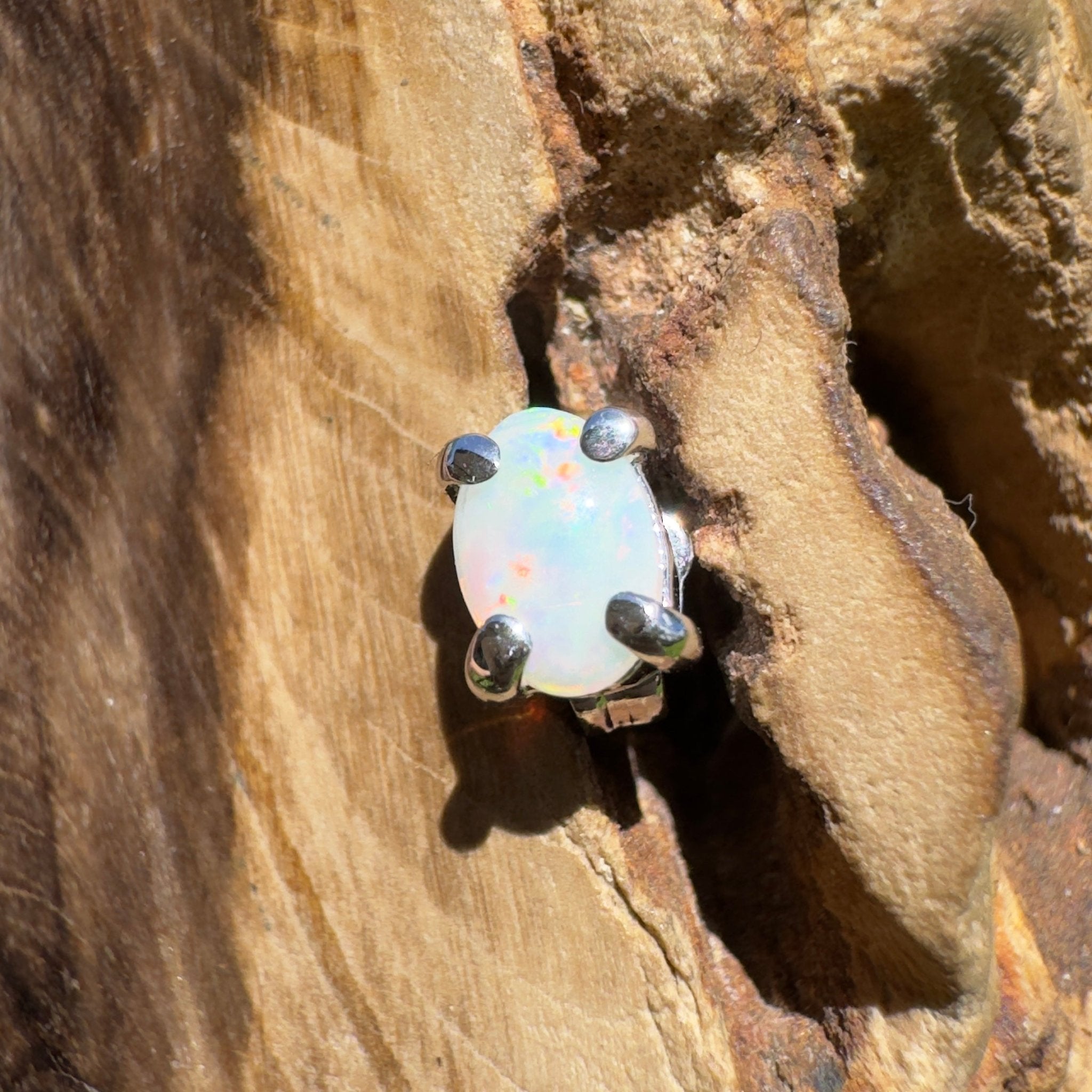 Desert Petal ~ 0.3ct Coober Pedy Opal 925 Silver Single Earring