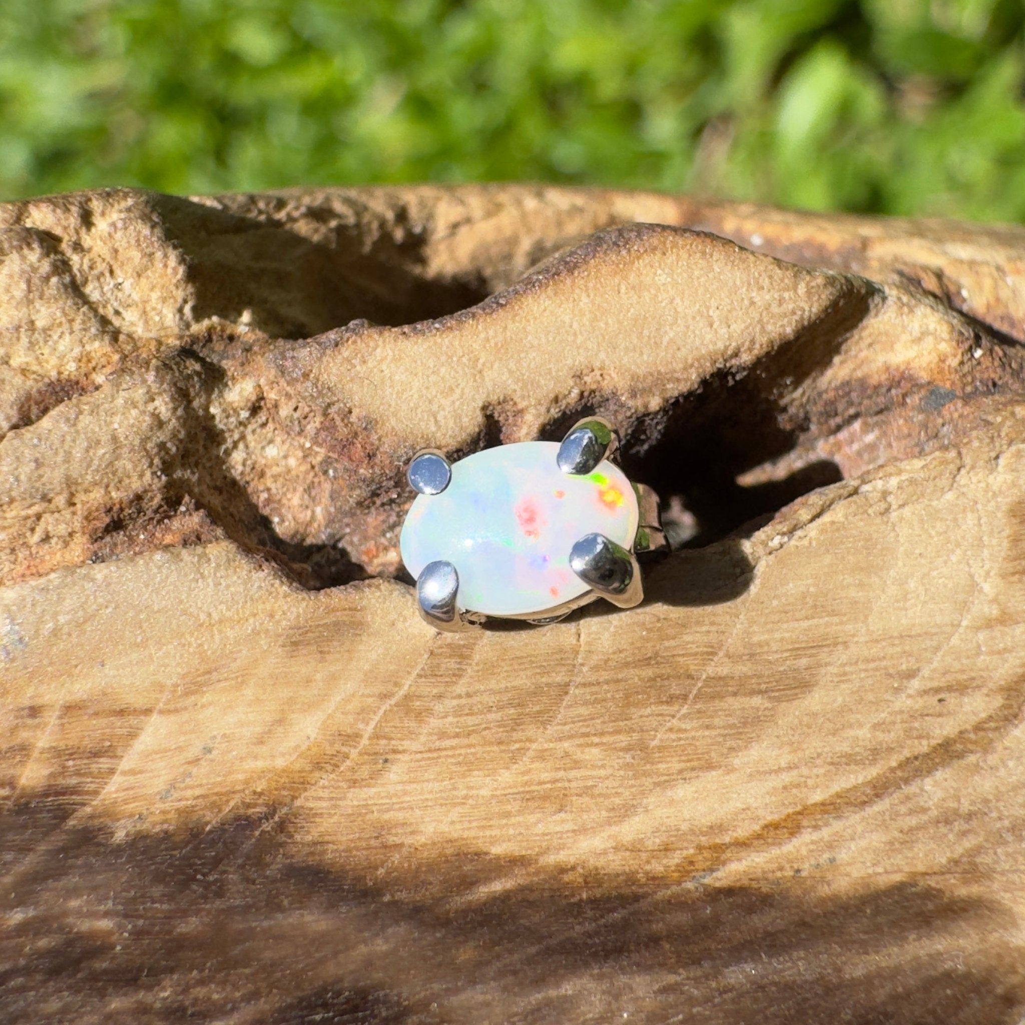 Desert Petal ~ 0.3ct Coober Pedy Opal 925 Silver Single Earring