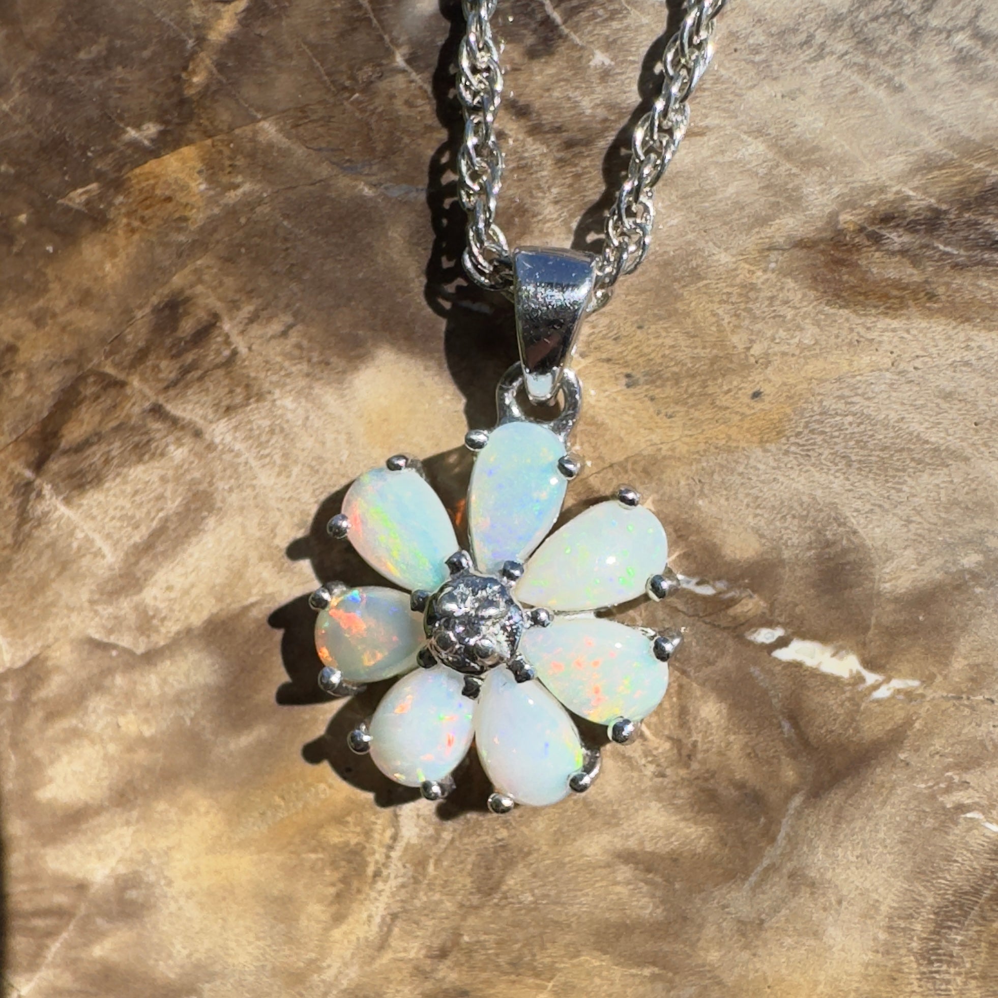 Flinders Bloom ~ 2.8ct Lightning Ridge Opal 925 Silver Flower Pendant