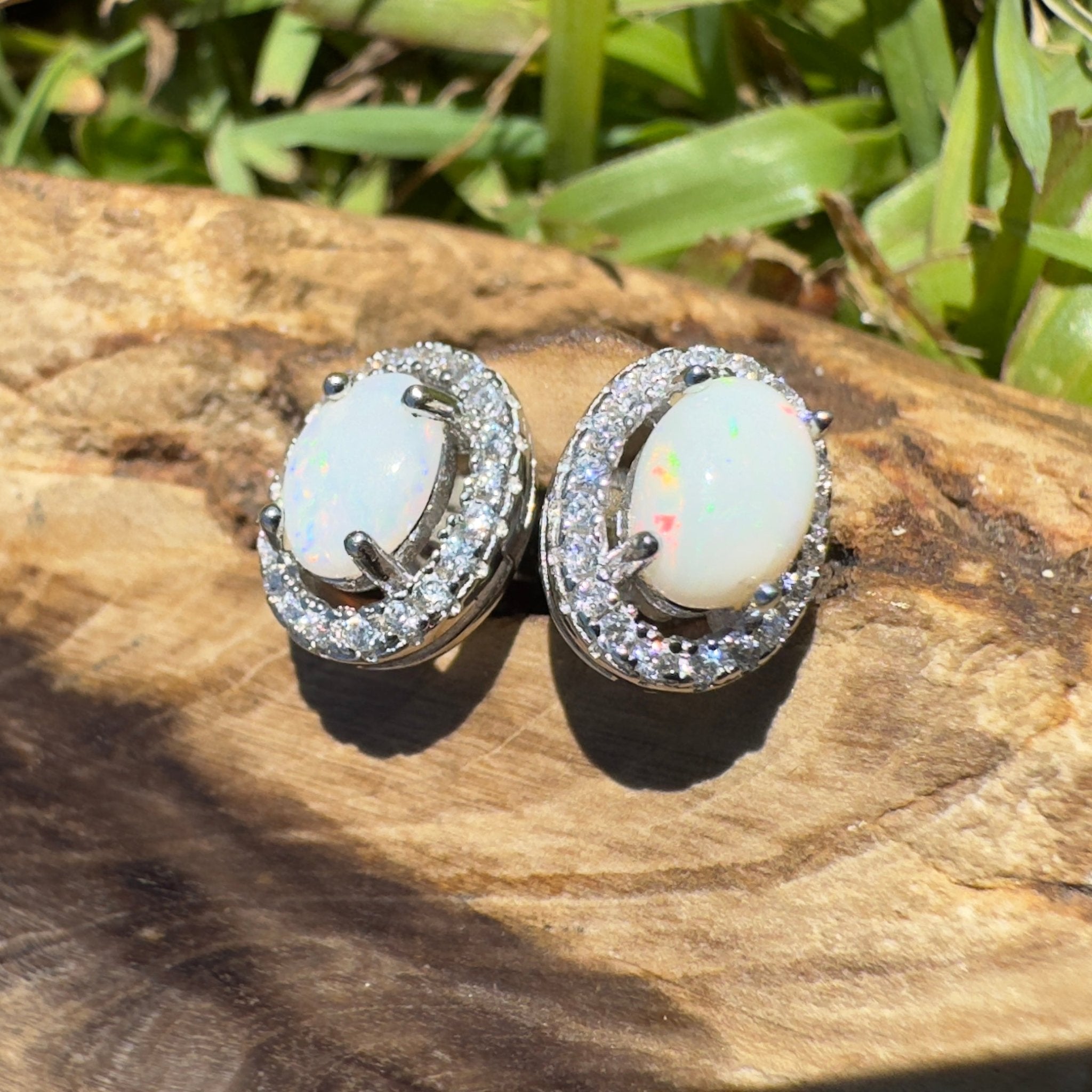 Glass House Glow - 0.6ct Coober Pedy Opal 925 Silver Earrings