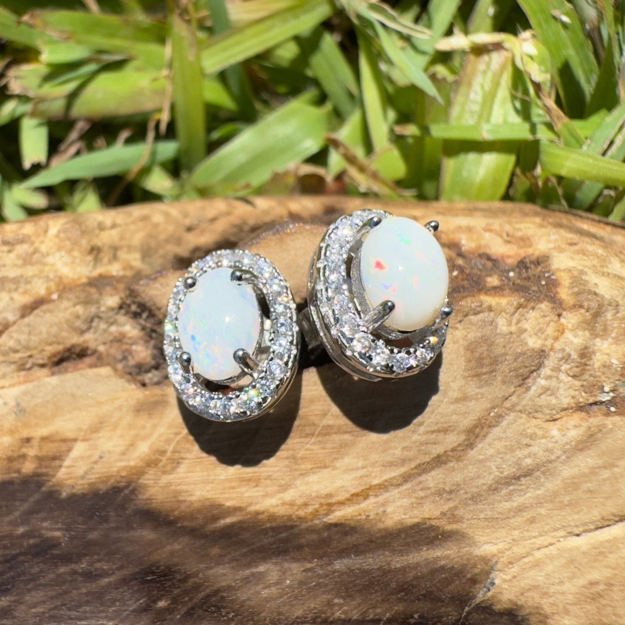 Glass House Glow - 0.6ct Coober Pedy Opal 925 Silver Earrings