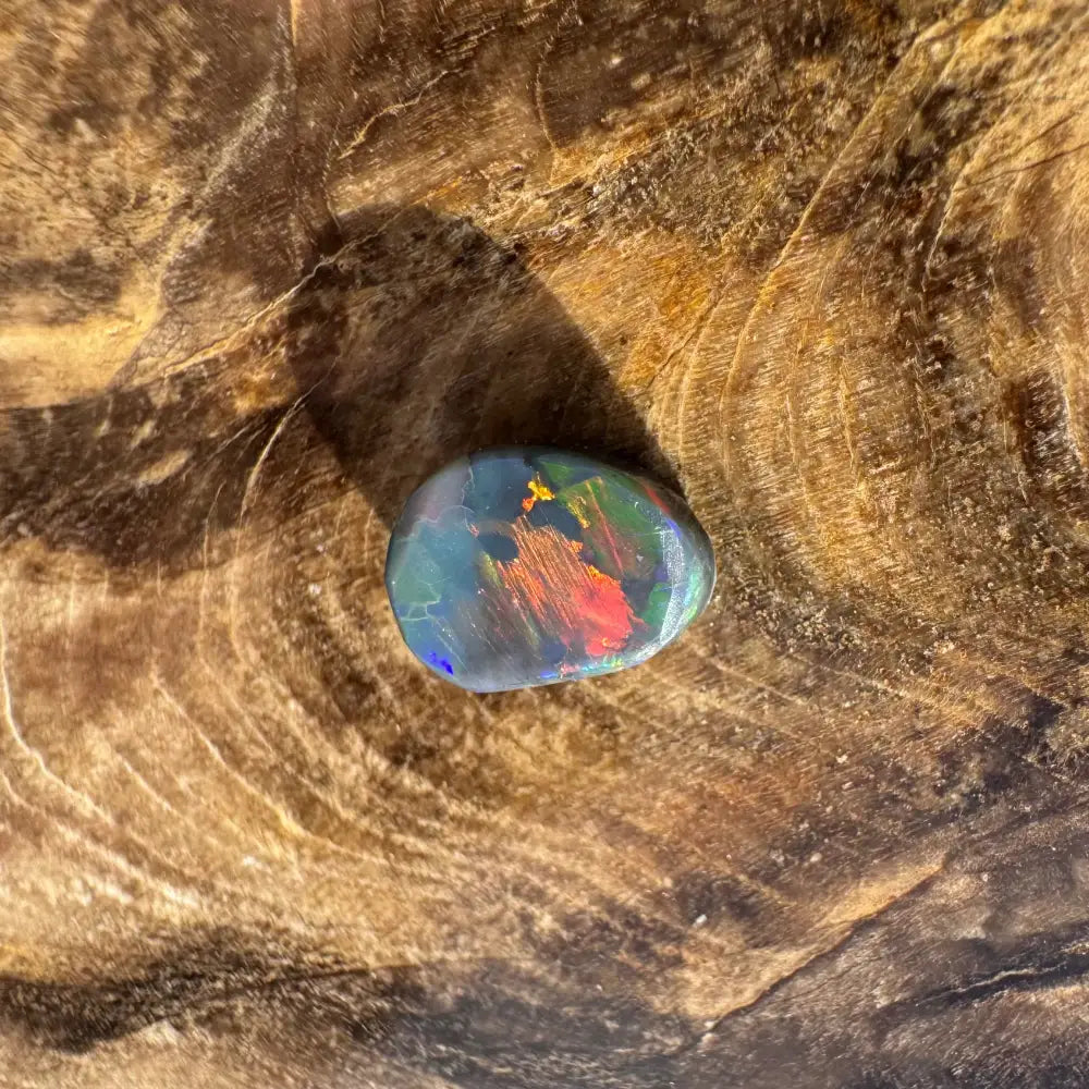 Polished Lightning Ridge Black Opal with vibrant color play in a hand-cut 0.9carat gemstone