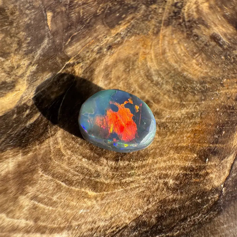 Polished Lightning Ridge Black Opal with vibrant red and blue play-of-color, 0.9 carats