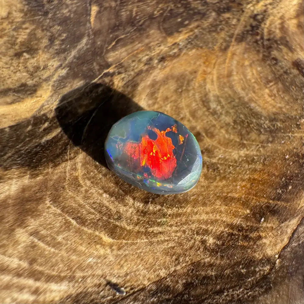 Polished Lightning Ridge Black Opal displaying vibrant red and blue play-of-color