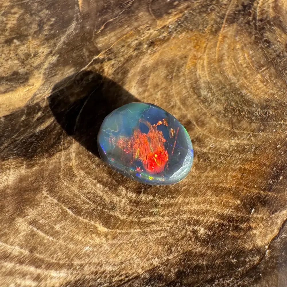 Polished Lightning Ridge Black Opal with vivid red and orange fiery play of color