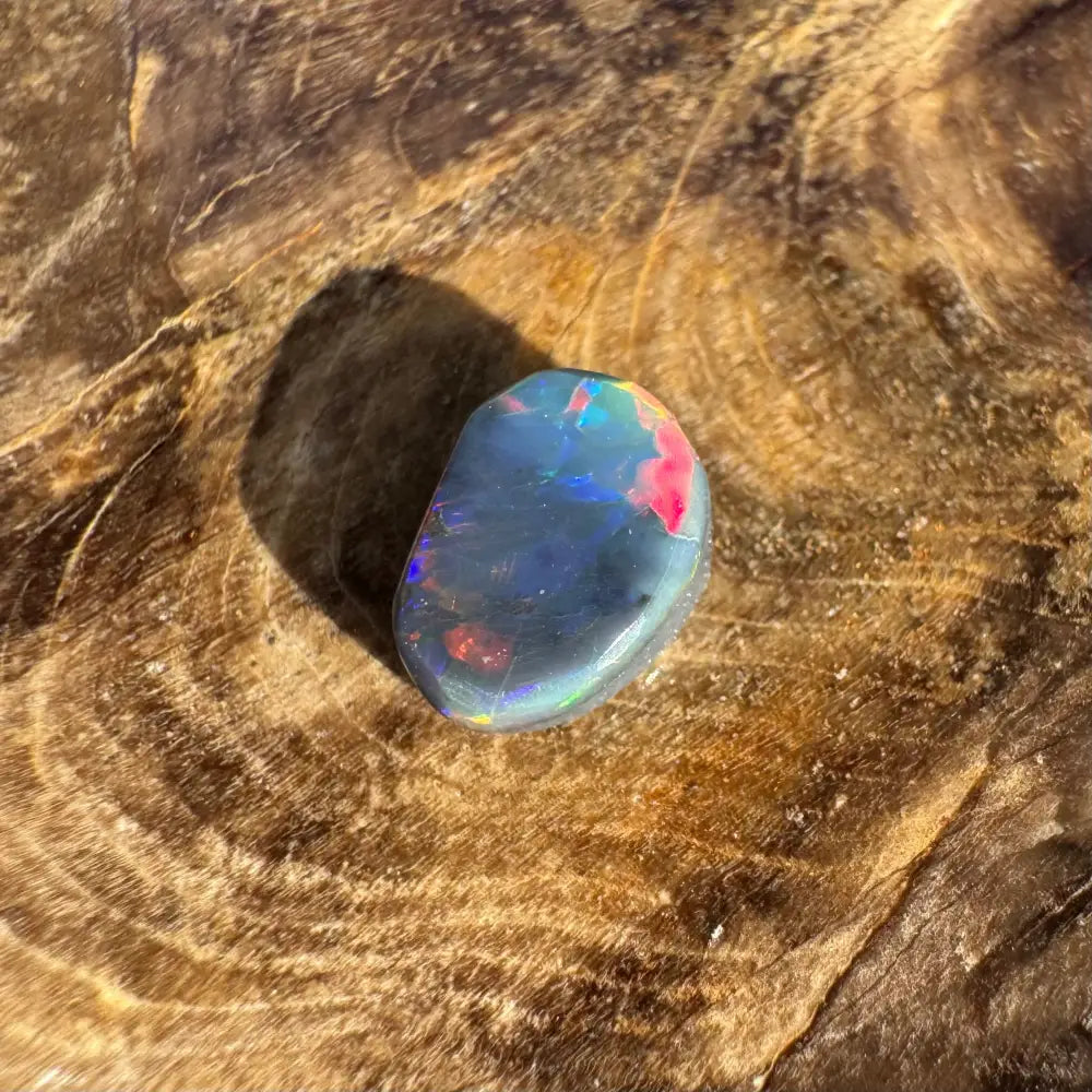 Polished Lightning Ridge Black Opal with iridescent colors on a 0.9carat hand-cut gemstone