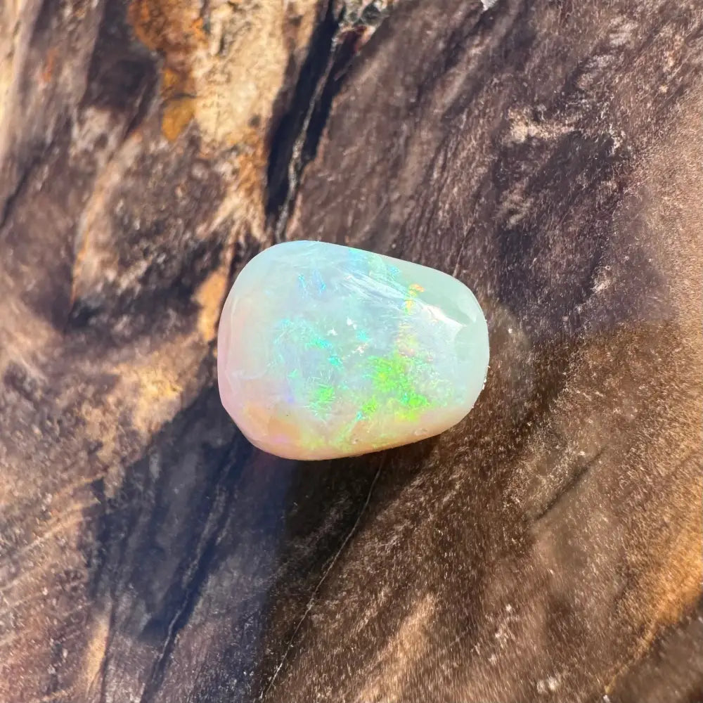Polished Lightning Ridge Opal gemstone with iridescent play-of-color in a 2.4carat hand-cut piece
