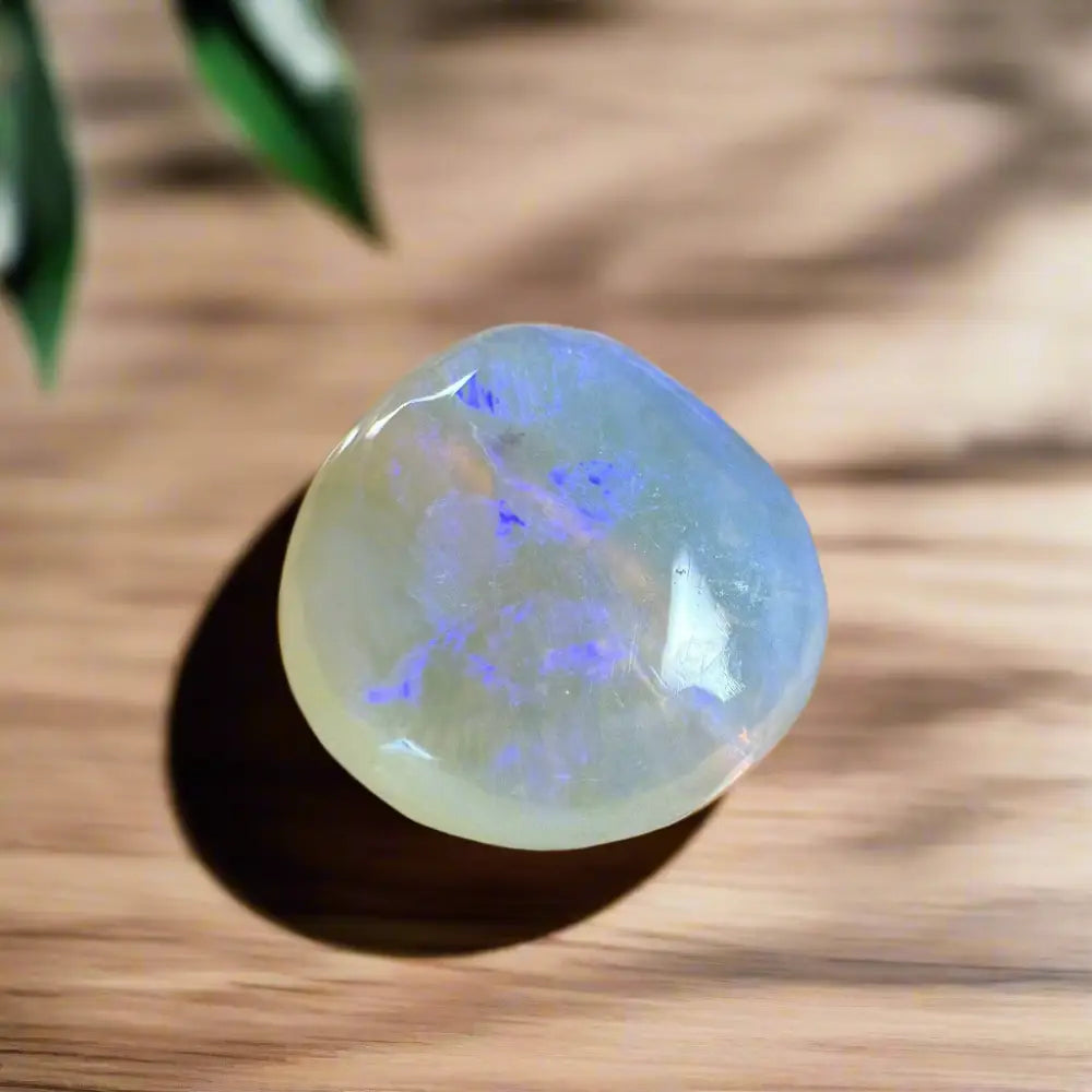 Polished Lightning Ridge Opal gemstone displaying vibrant blue flashes in a 4.7carat hand-cut piece