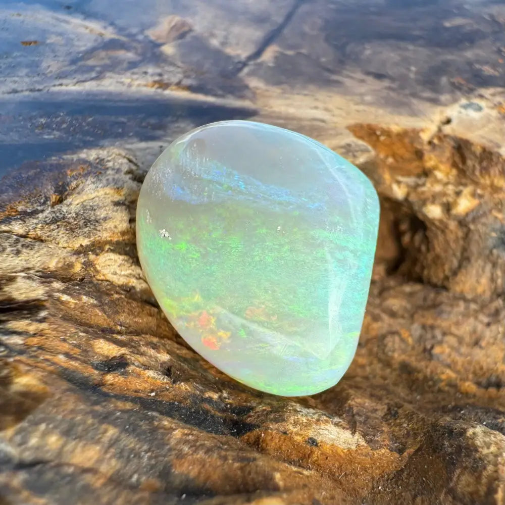Polished Lightning Ridge Opal with iridescent play-of-color in 7.3 carats