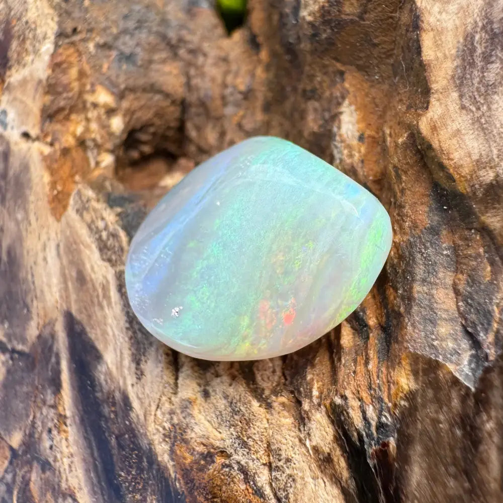 Polished Lightning Ridge Opal gemstone showcasing iridescent play-of-color in a 7.3carat hand-cut product