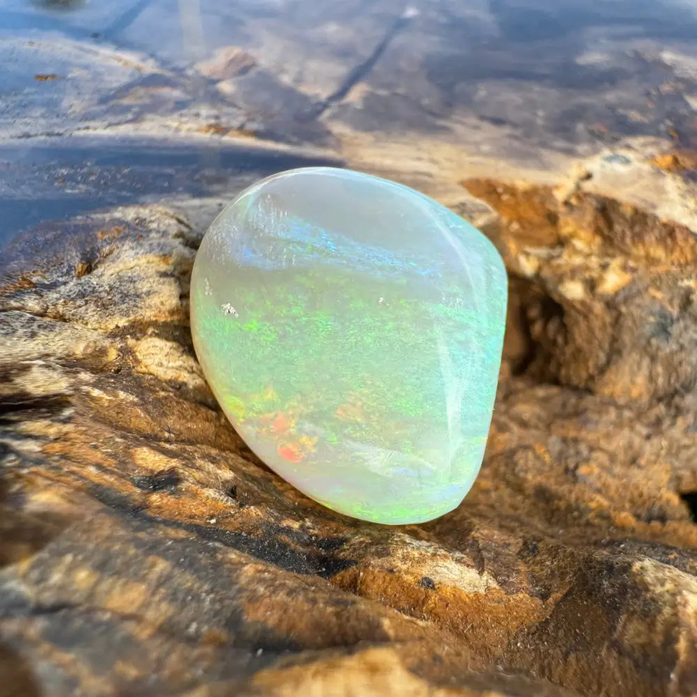 Polished Lightning Ridge Opal gemstone showing iridescent play-of-color in a 7.3 carat hand-cut product