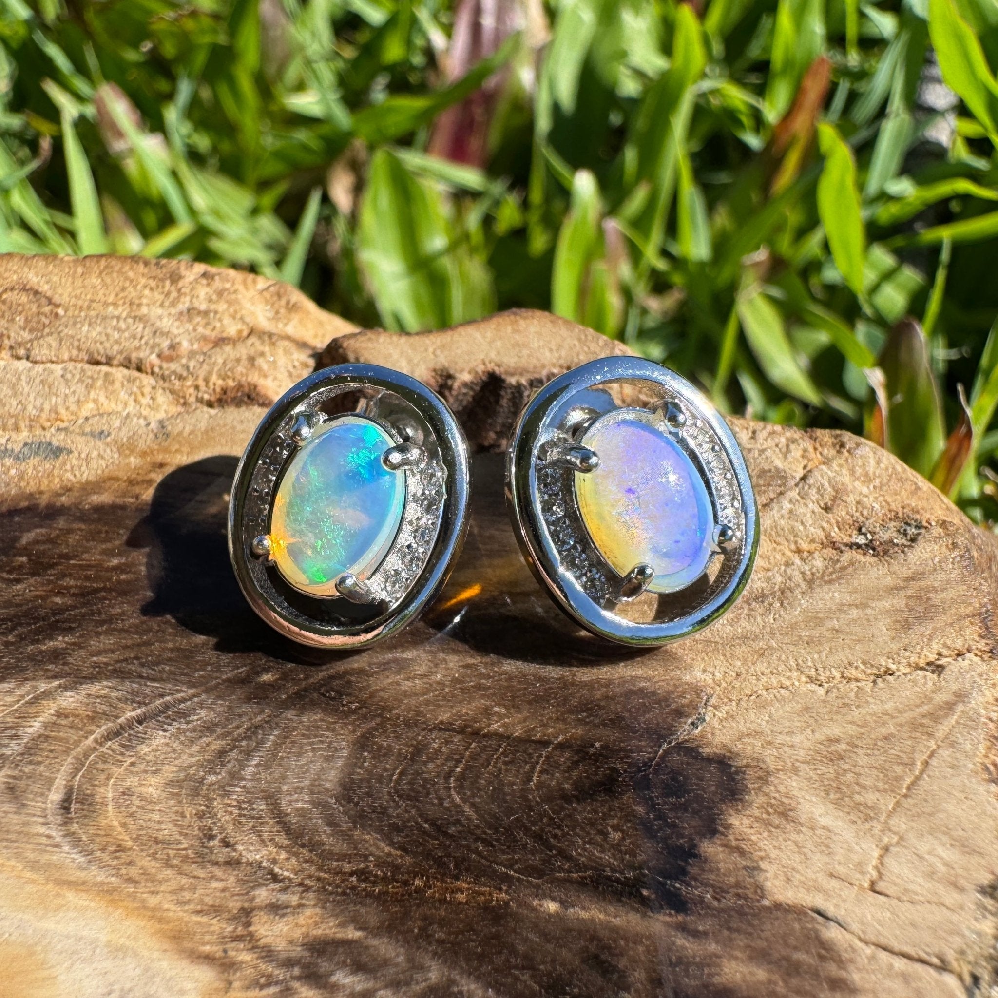 Moreton Blueflare ~ 1.2ct Solid Lightning Ridge Crystal Opal 925 Silver Earrings