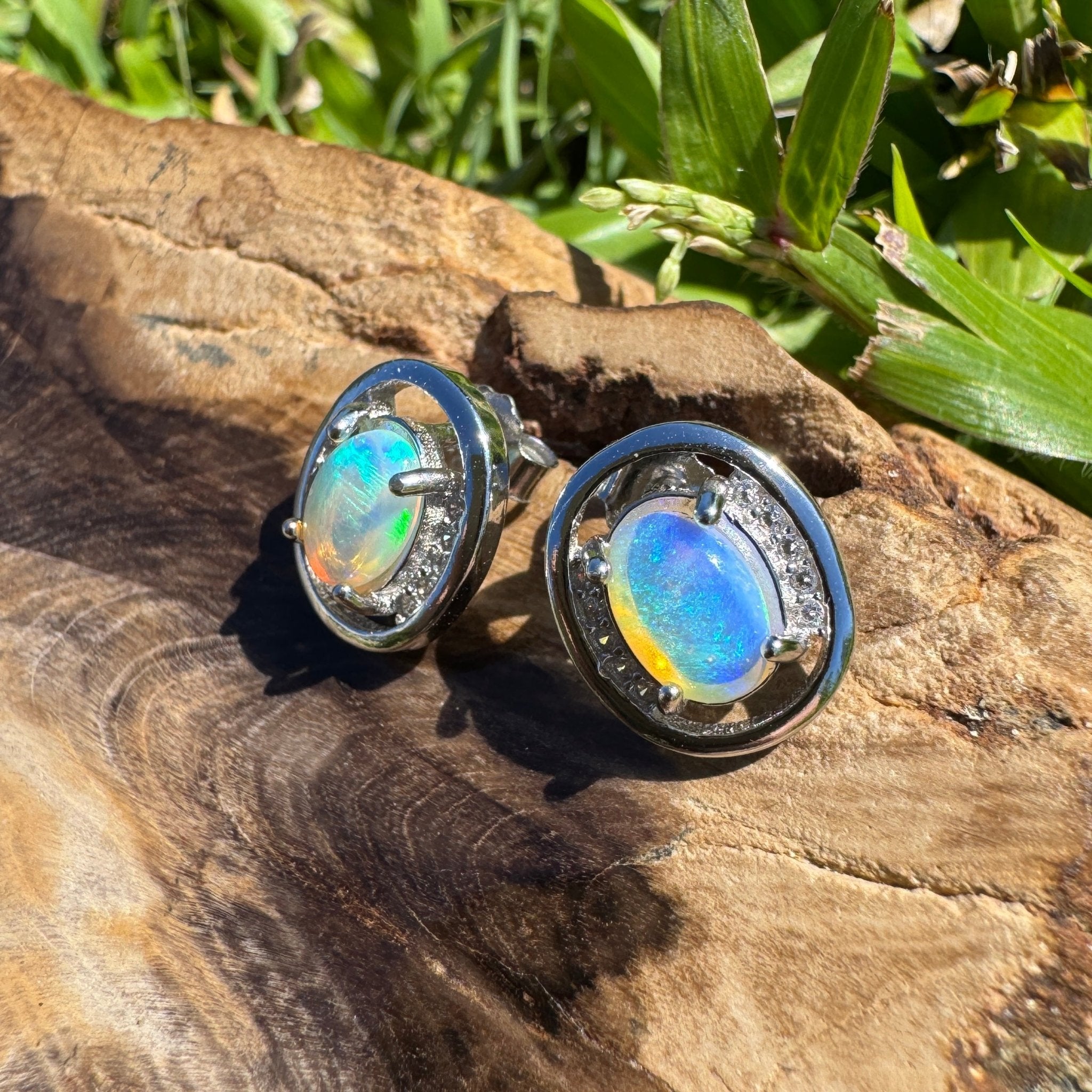 Moreton Blueflare ~ 1.2ct Solid Lightning Ridge Crystal Opal 925 Silver Earrings