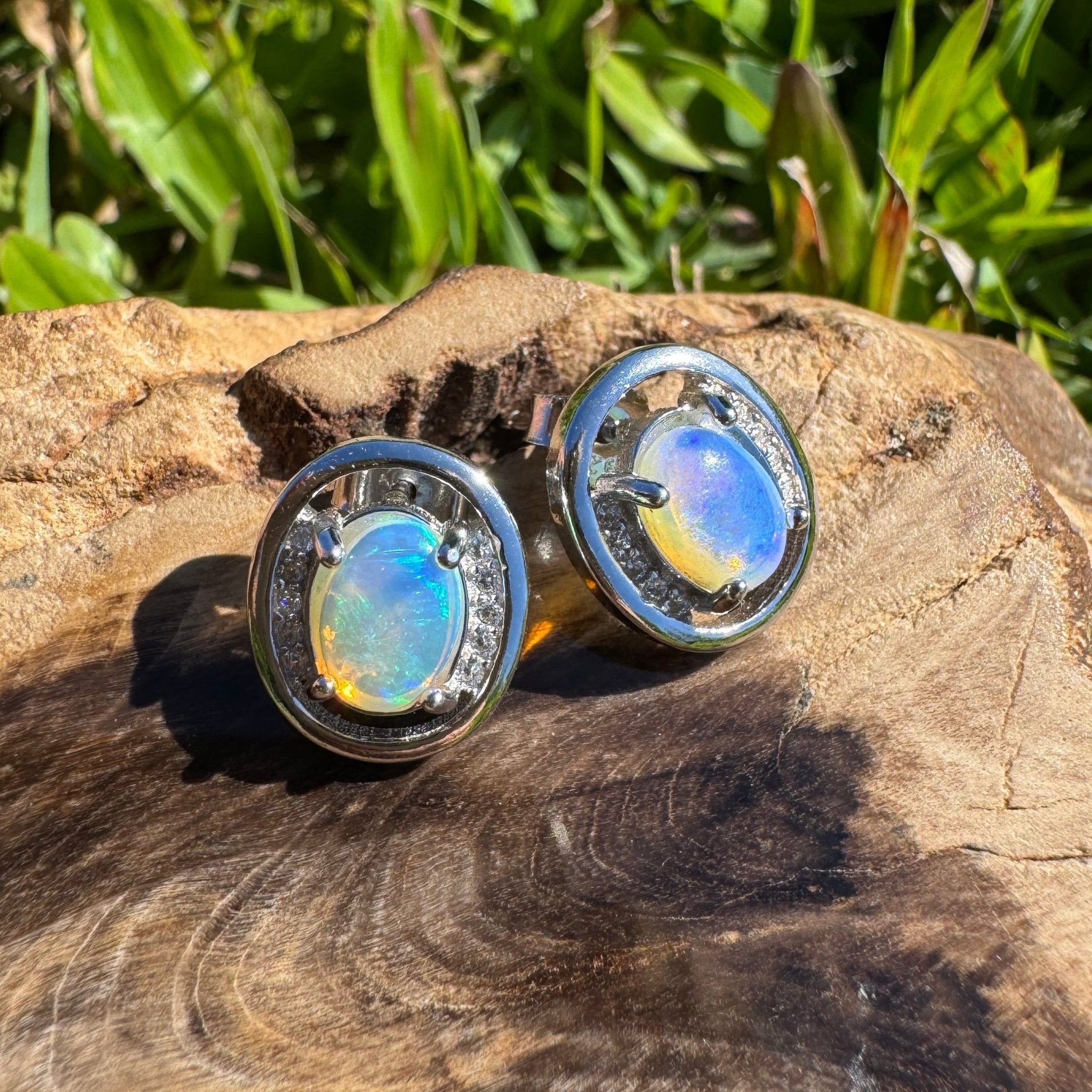 Moreton Blueflare ~ 1.2ct Solid Lightning Ridge Crystal Opal 925 Silver Earrings