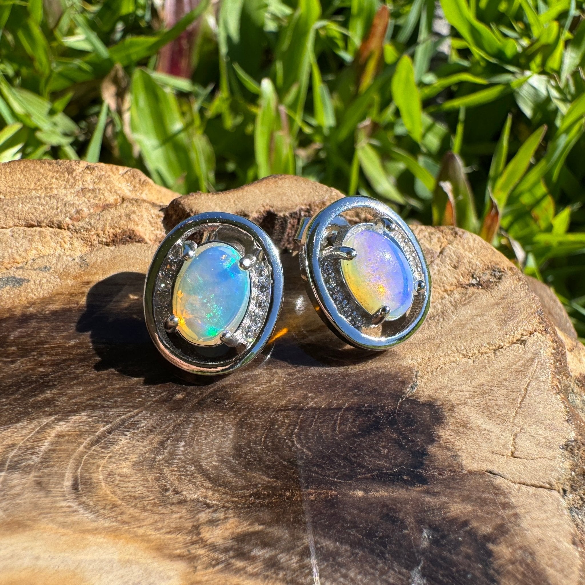 Moreton Blueflare ~ 1.2ct Solid Lightning Ridge Crystal Opal 925 Silver Earrings