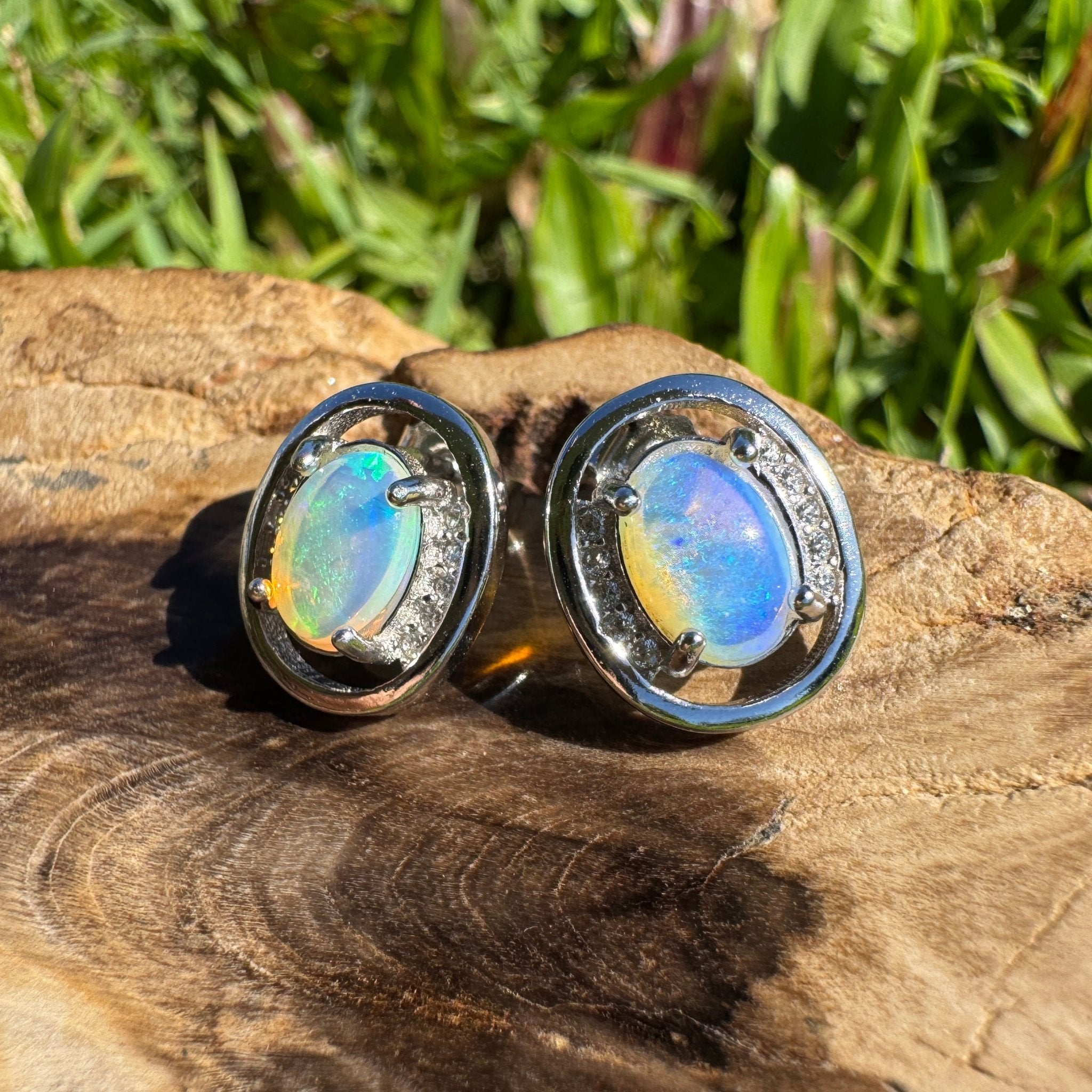 Moreton Blueflare ~ 1.2ct Solid Lightning Ridge Crystal Opal 925 Silver Earrings