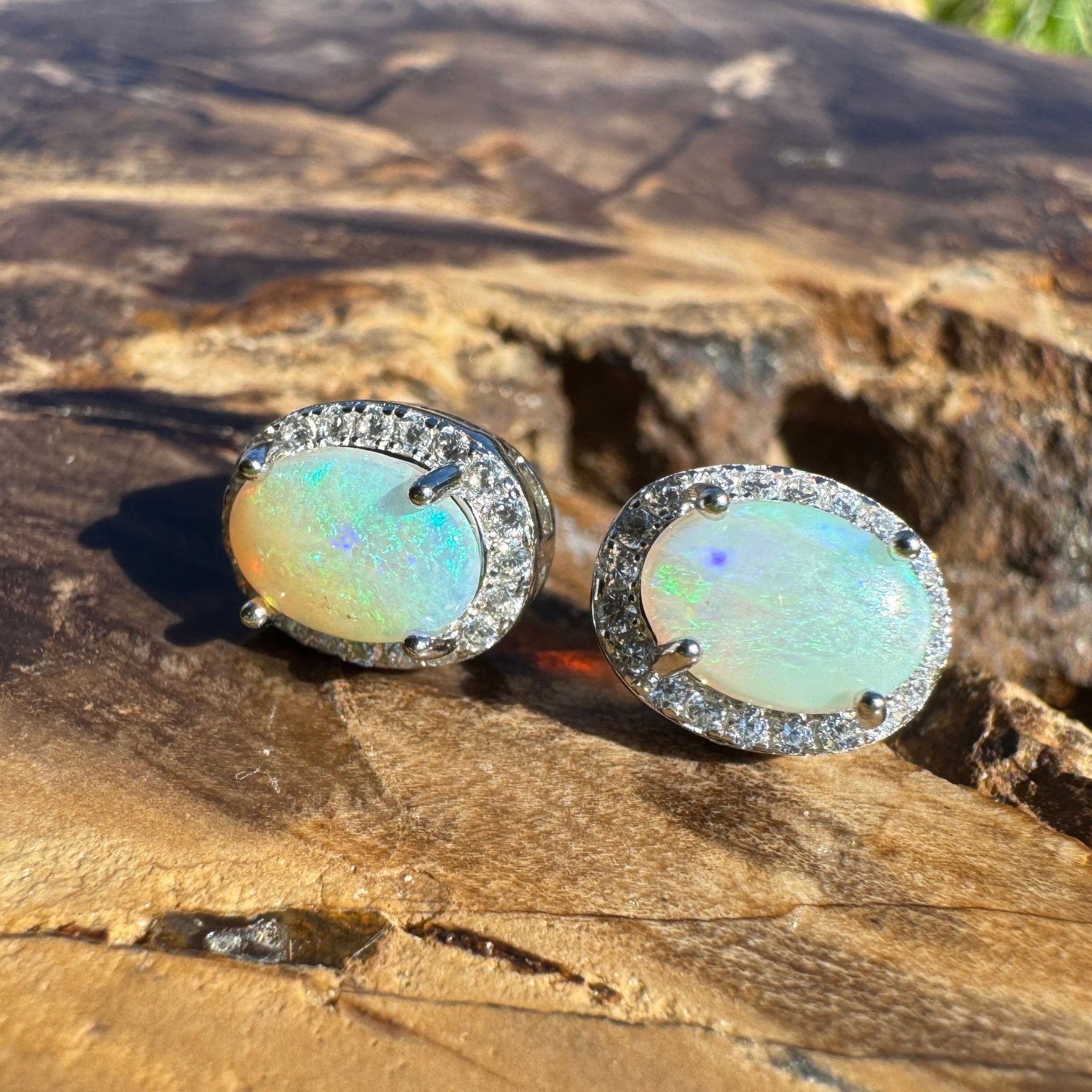 Nelson Bay Sea Foam ~ 1.4ct Solid Lightning Ridge Opal Earrings