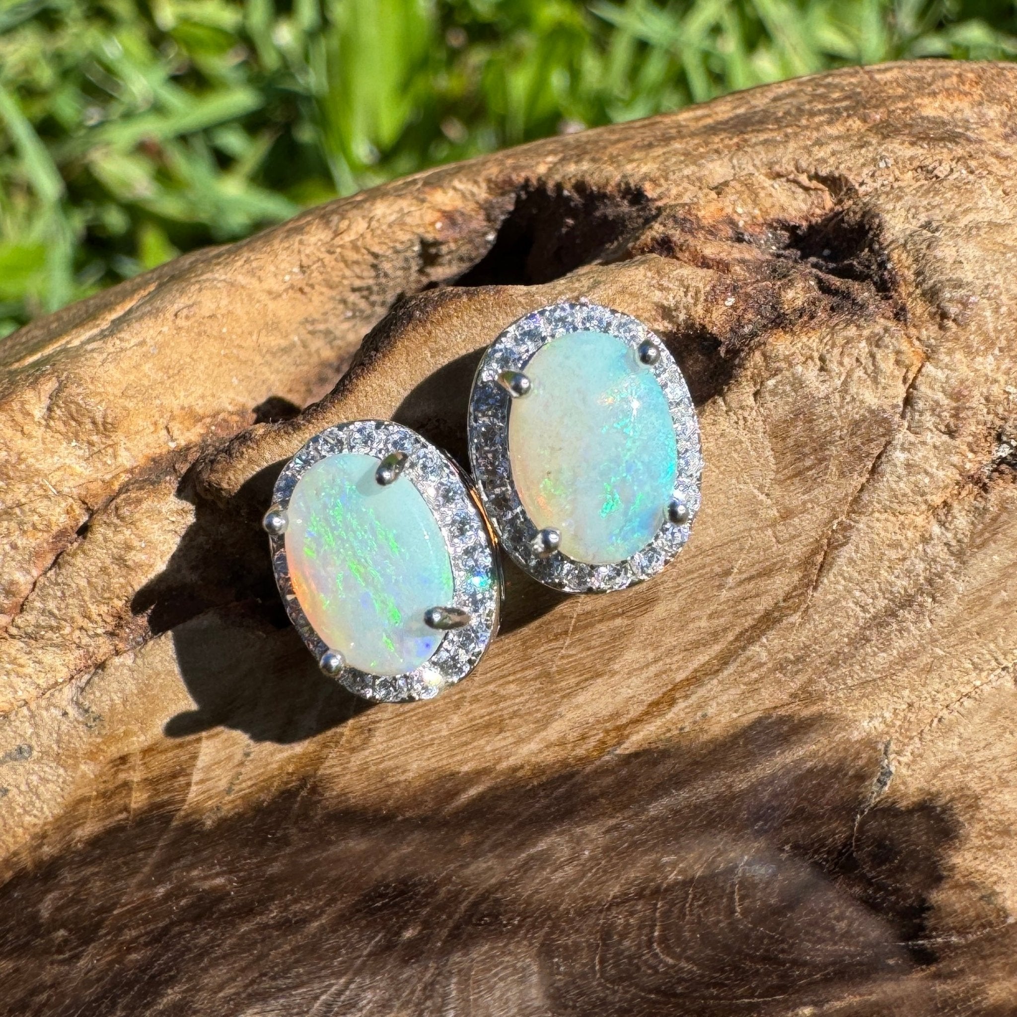 Nelson Bay Sea Foam ~ 1.4ct Solid Lightning Ridge Opal Earrings