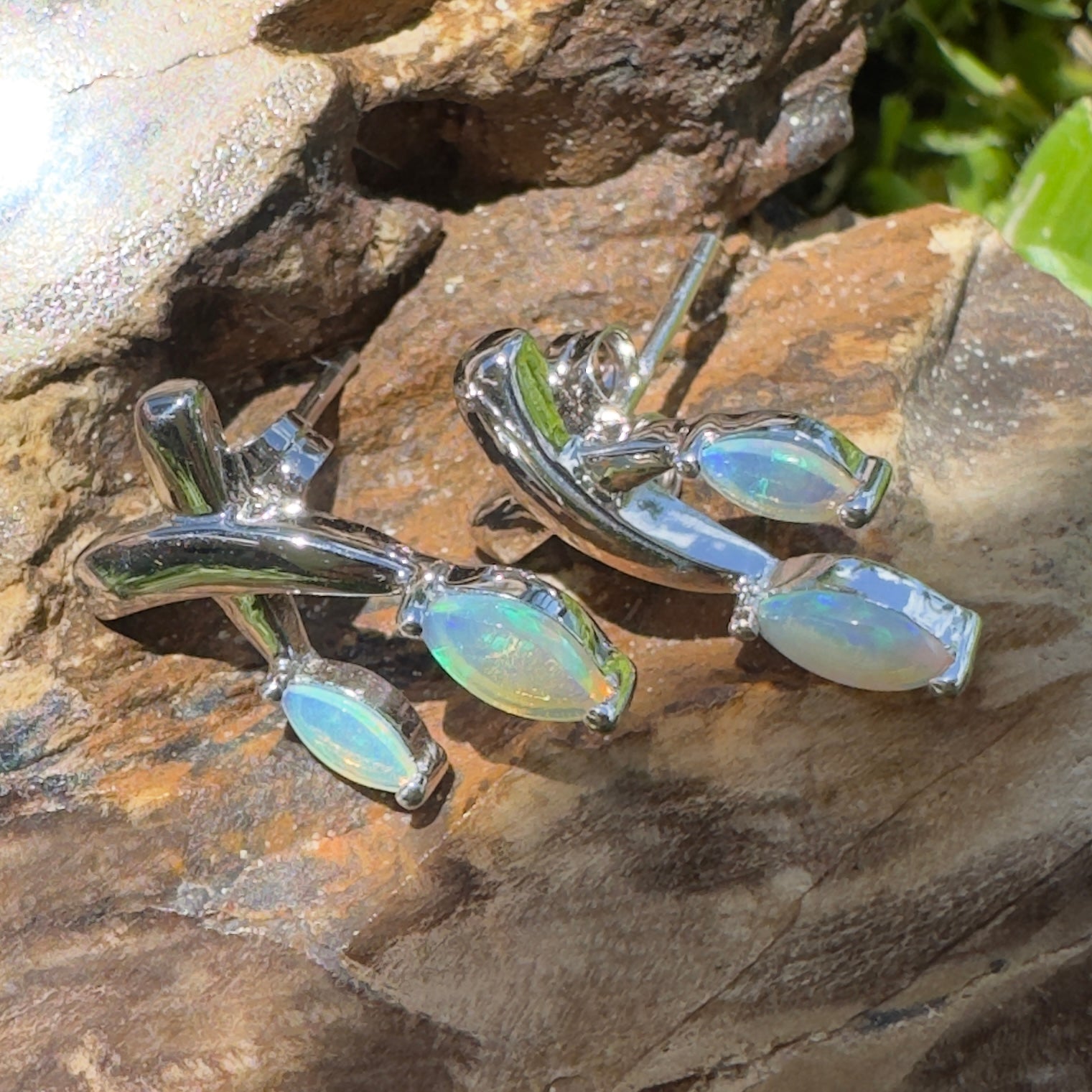 Ningaloo Reeflight ~ Solid Lightning Ridge Opal 925 Sterling Silver Earrings