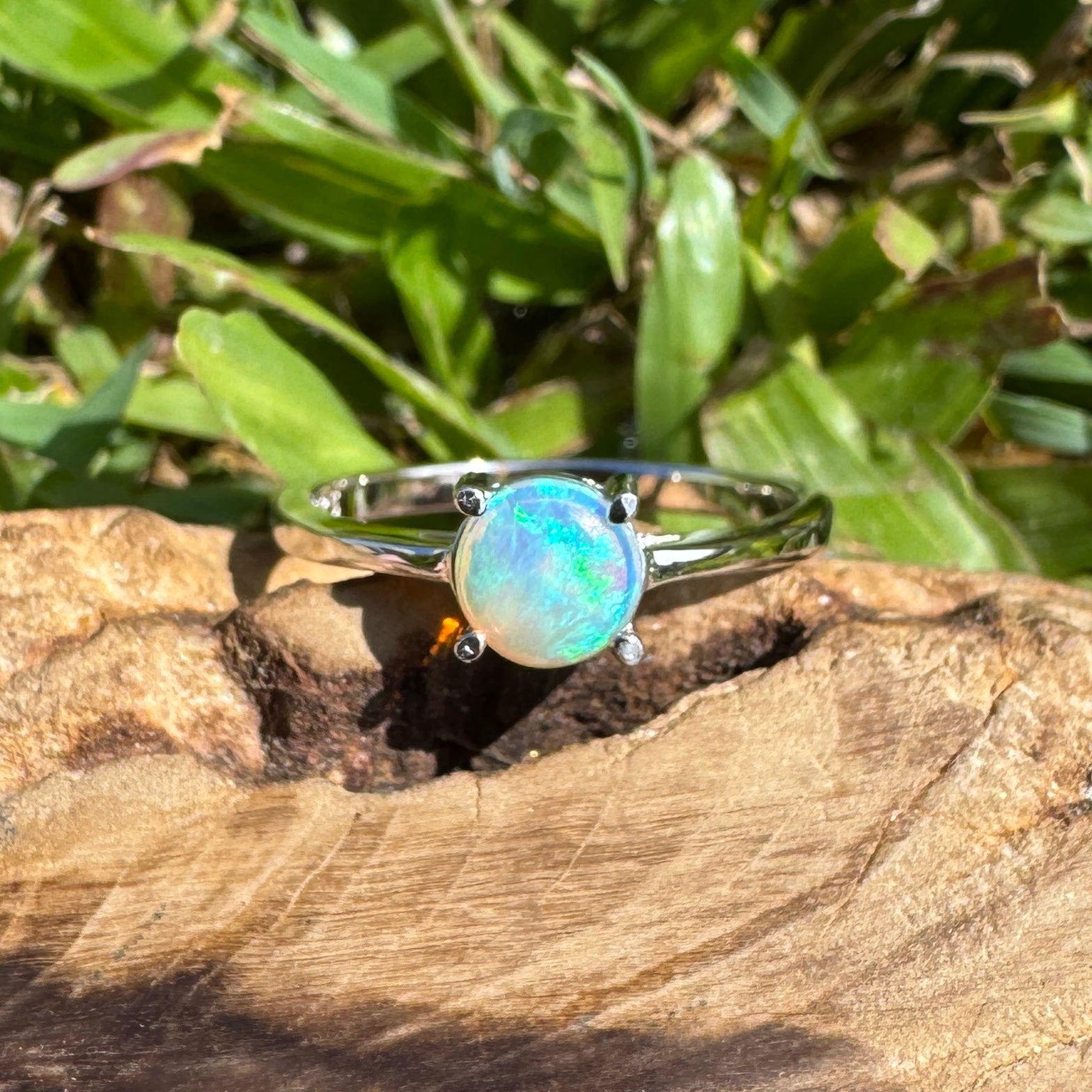 Southern Shelf Glow ~ 0.5ct Solid Lightning Ridge Crystal Opal 925 Silver Ring