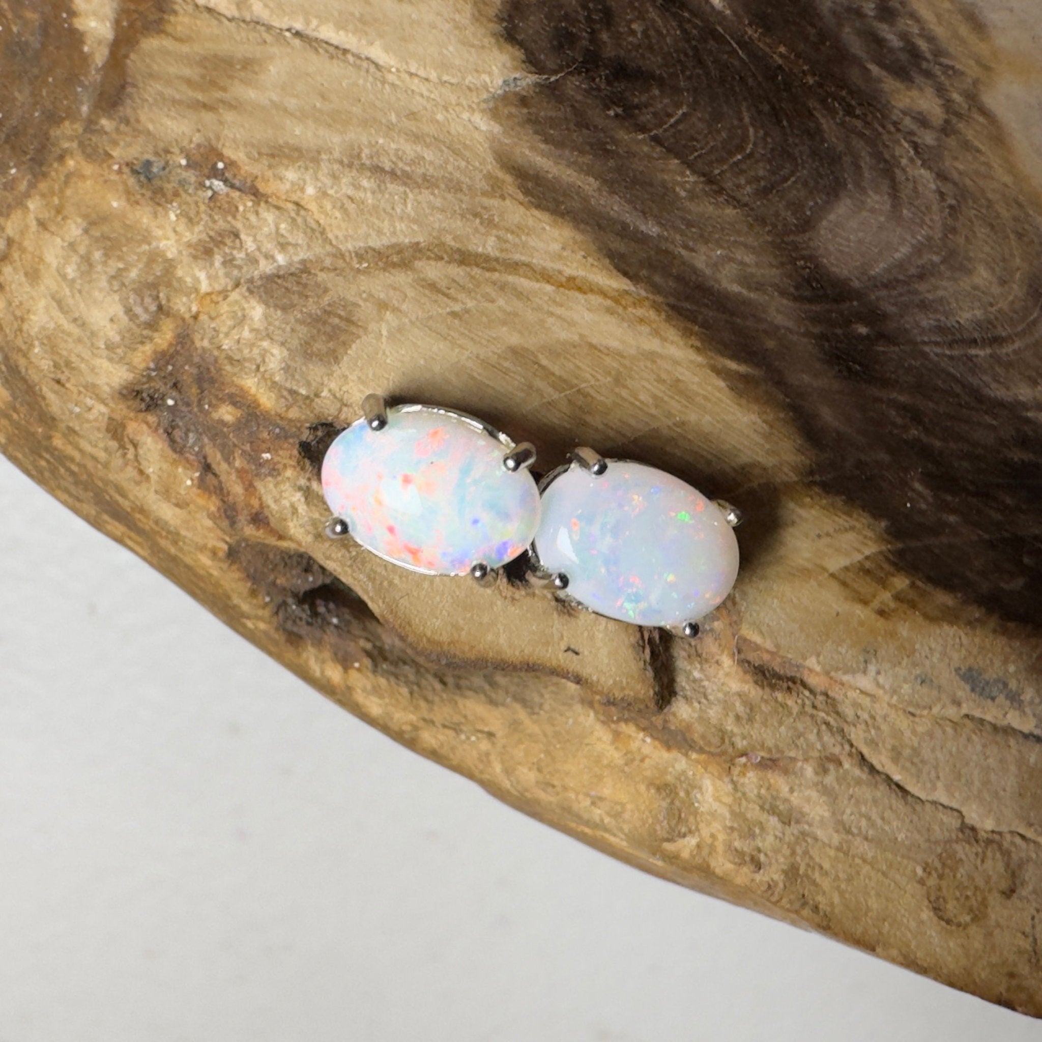 Stellar Bloom Studs ~ 1.2ct Coober Pedy Opal Sterling Silver Earrings
