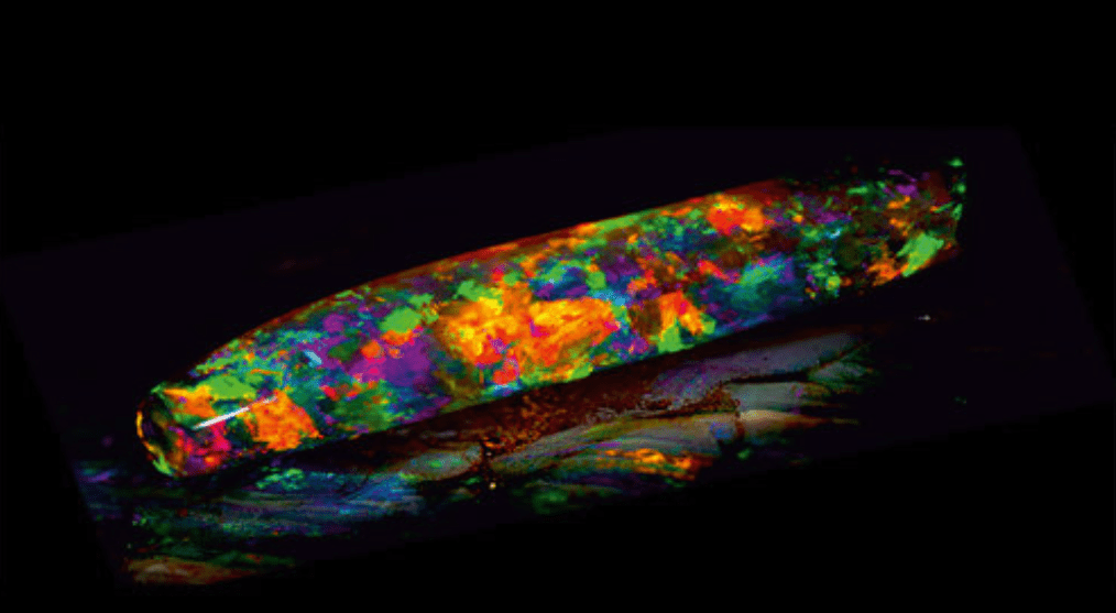 What Makes Black Opals So Valuable? - Iona Opal Australia