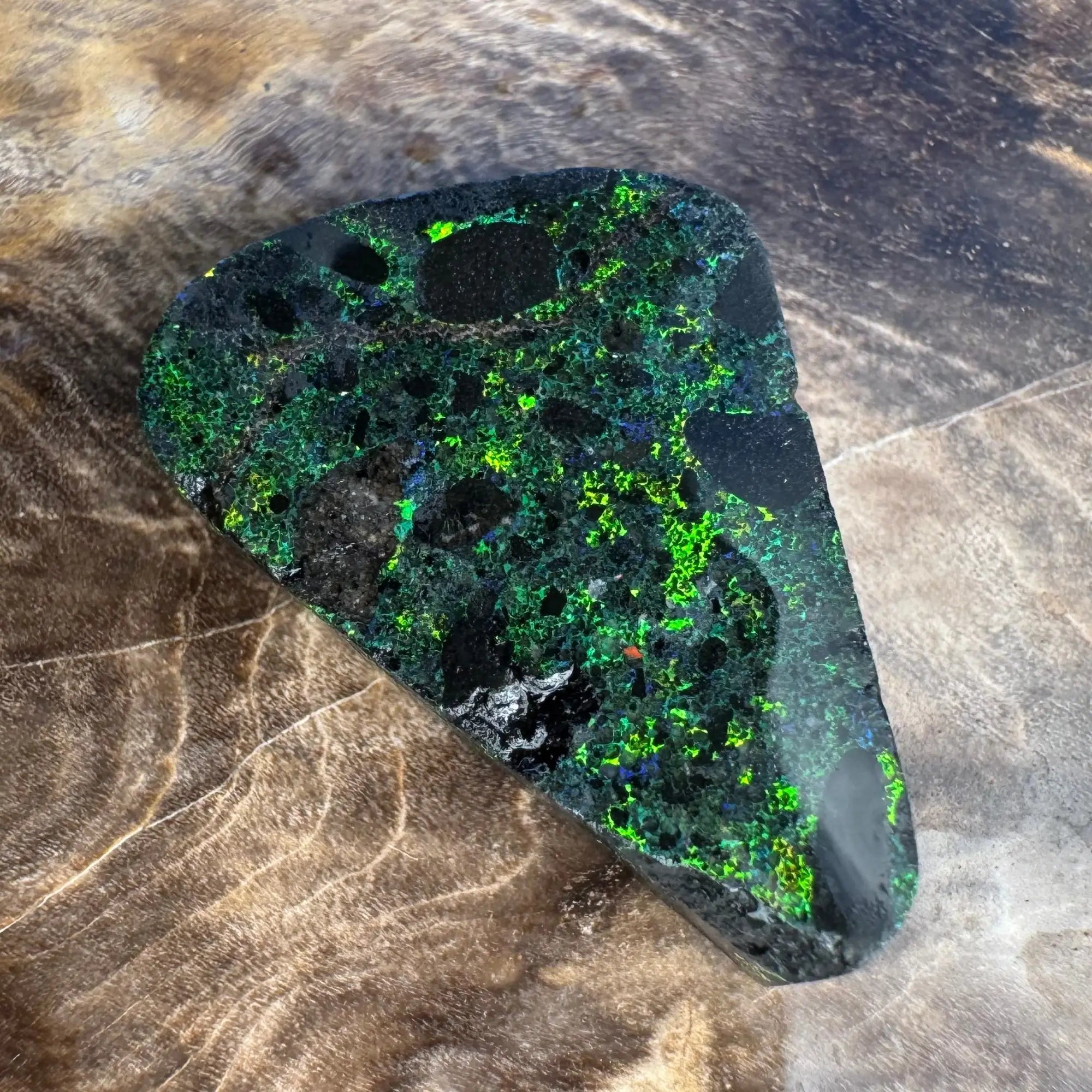Andamooka Matrix Opal - Iona Opal Australia