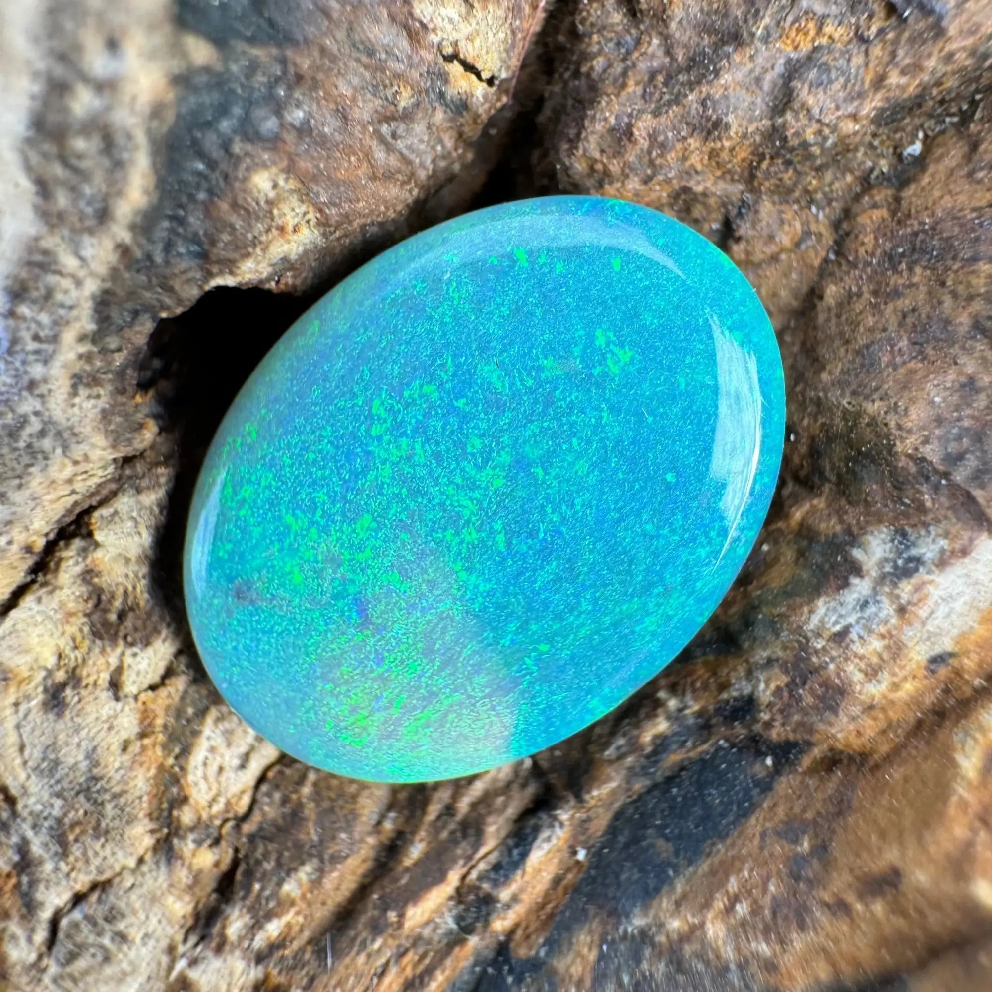Lightning Ridge Opal - Iona Opal Australia