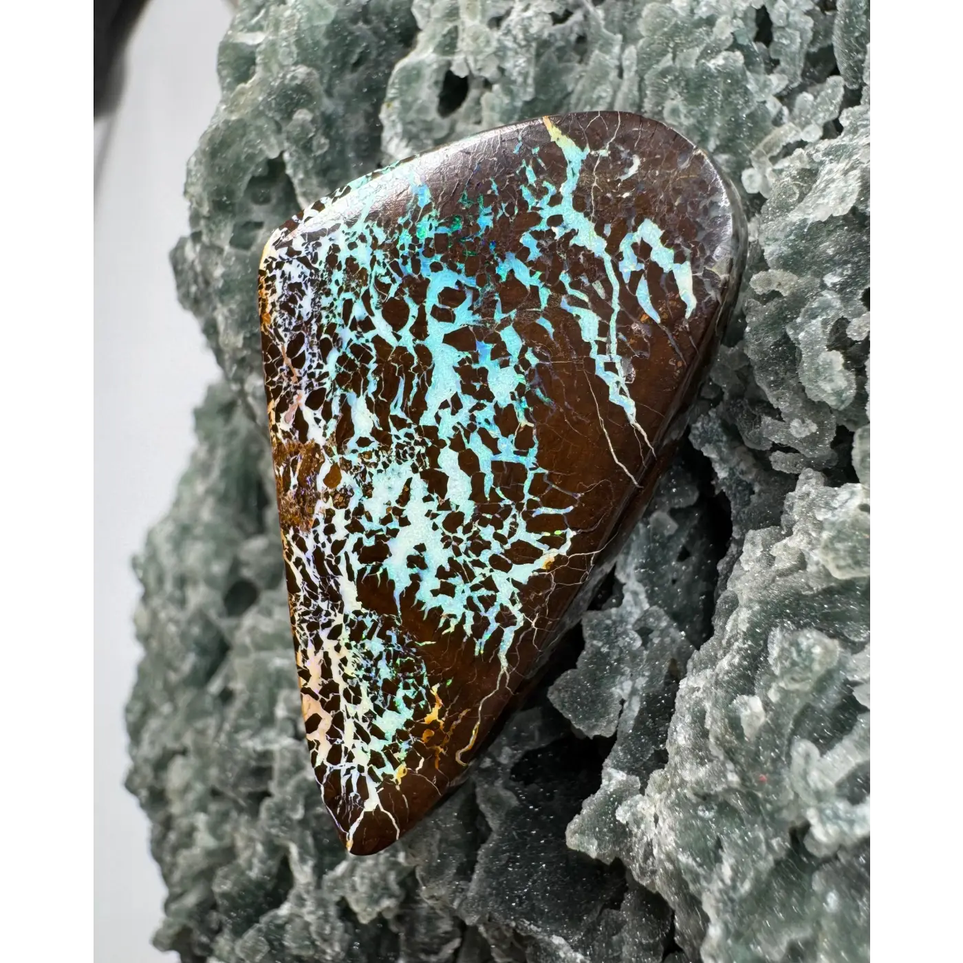 Queensland Boulder Opal, Koroit Opal and Yowah Nuts - Iona Opal Australia