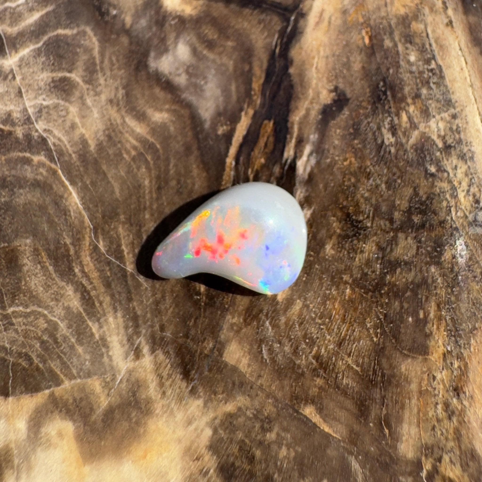 0.7ct Lightning Ridge Semi Black Opal | Solid Australian Opal
