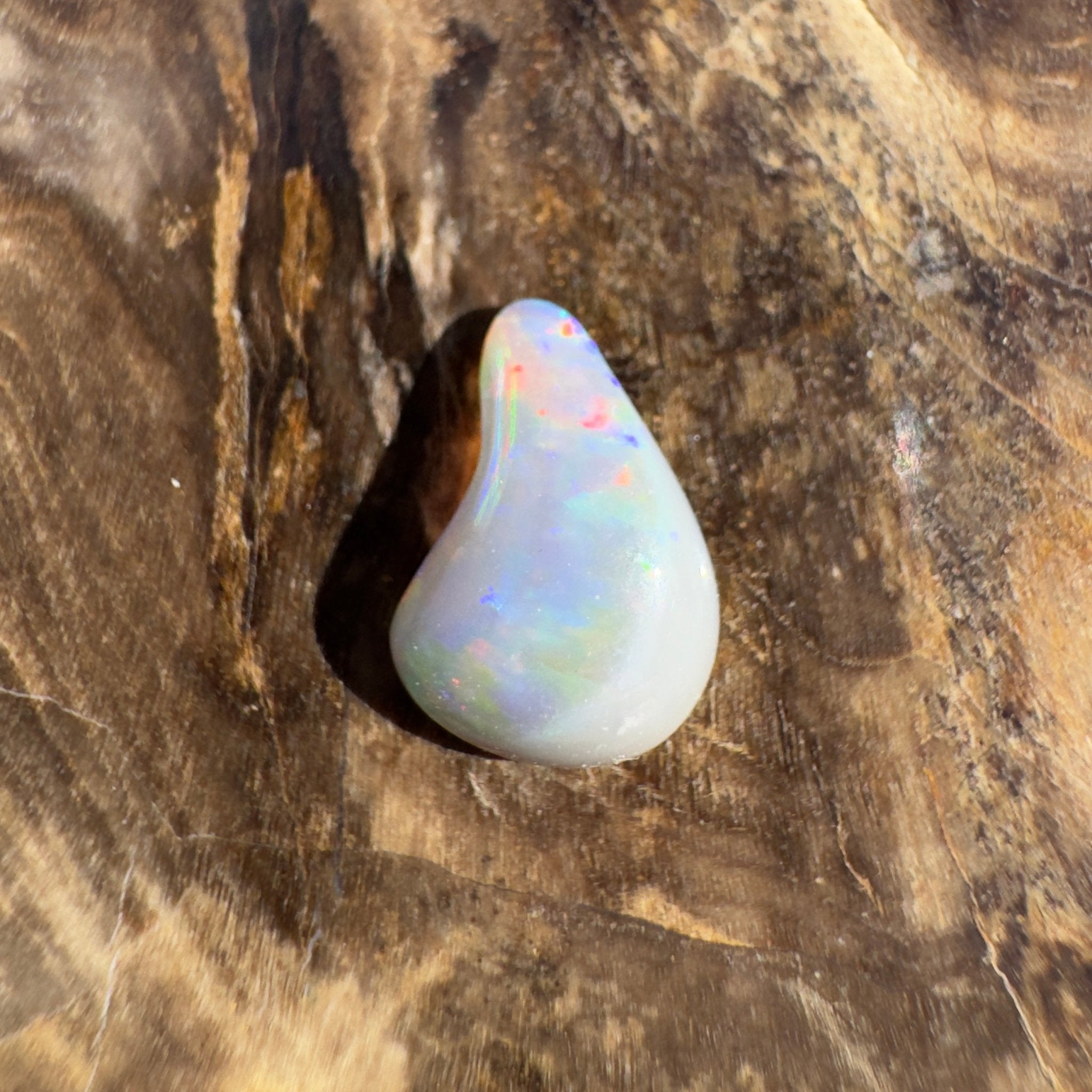 0.7ct Lightning Ridge Semi Black Opal | Solid Australian Opal