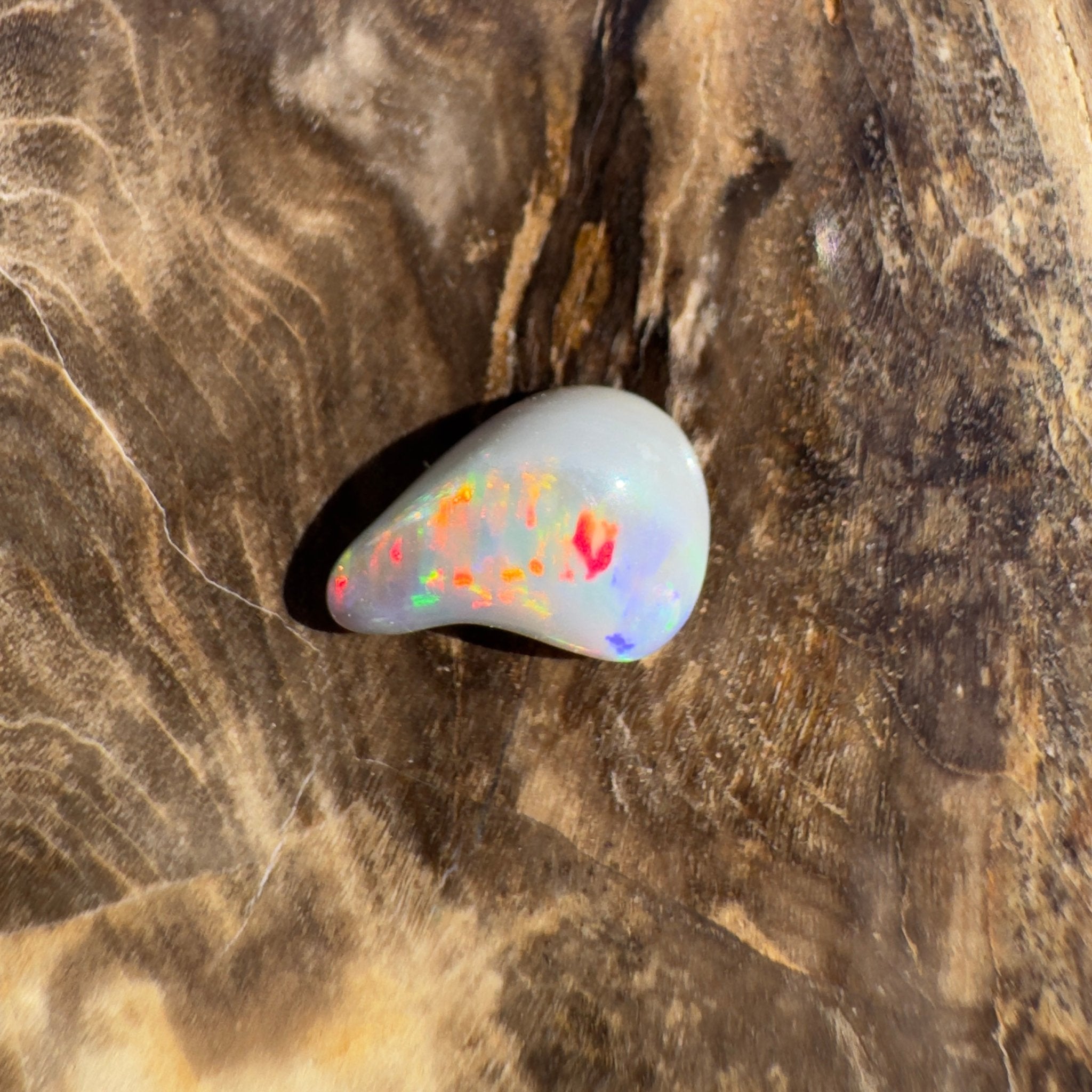 0.7ct Lightning Ridge Semi Black Opal | Solid Australian Opal
