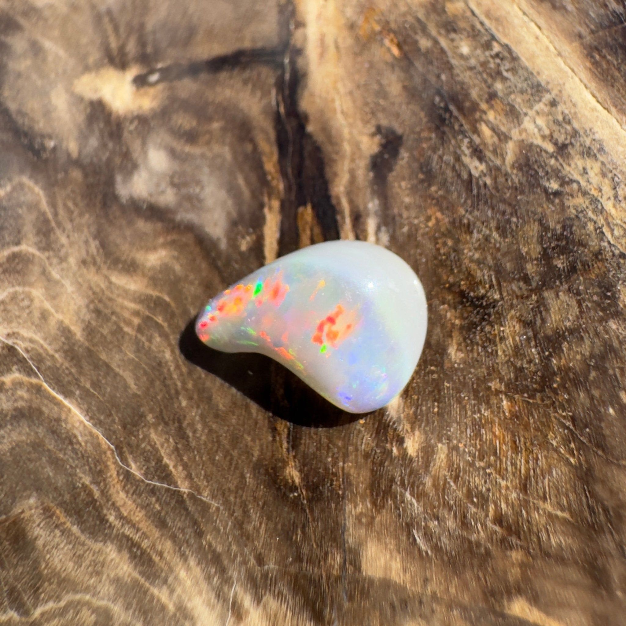 0.7ct Lightning Ridge Semi Black Opal | Solid Australian Opal