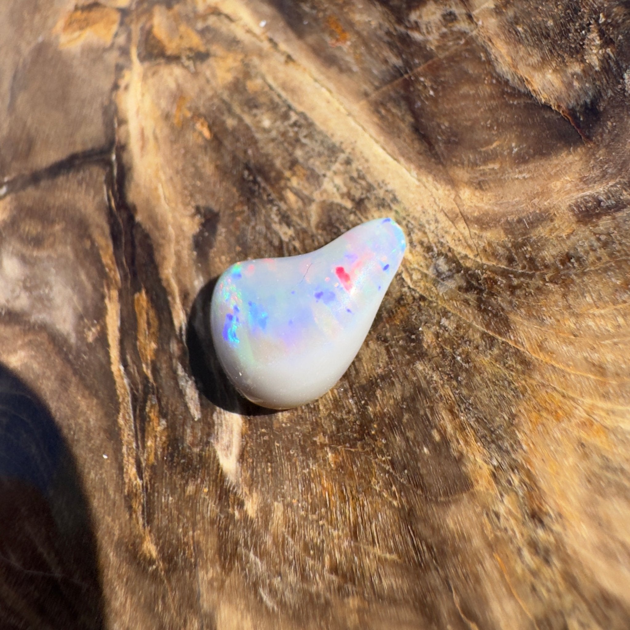 0.7ct Lightning Ridge Semi Black Opal | Solid Australian Opal