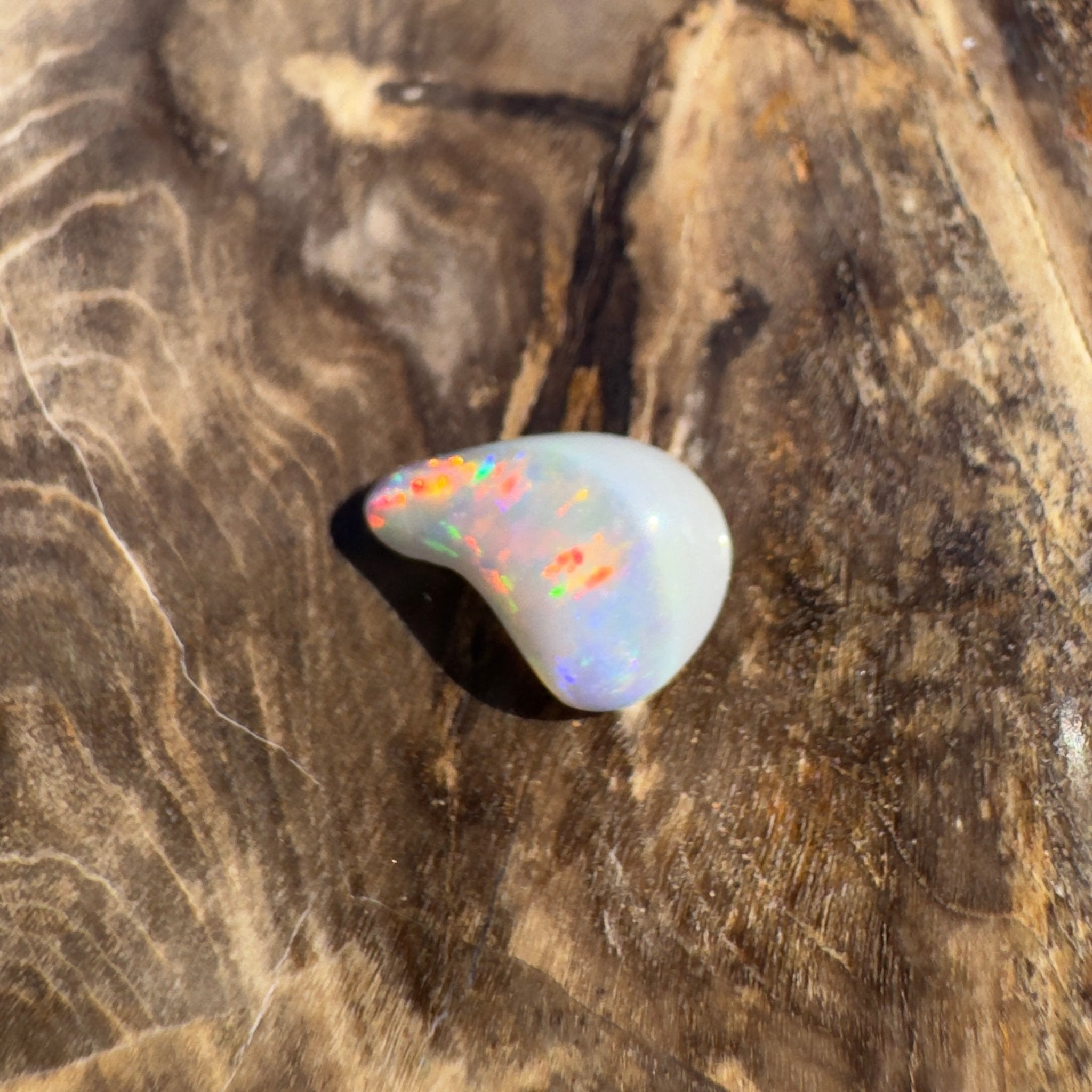 0.7ct Lightning Ridge Semi Black Opal | Solid Australian Opal