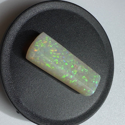 Australian Coober Pedy Belemnite Opal (Fossil Opal Squid) 5.3carat Solid Hand Cut Luxury - Iona Opal Australia