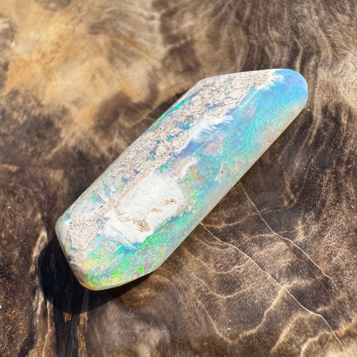 11.6ct Coober Pedy Belemnite Opal | Solid Australian Opal | Hand-Cut