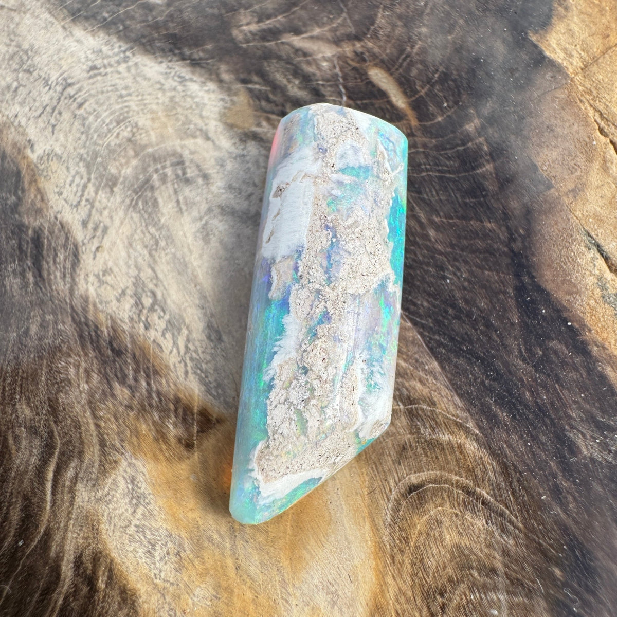 11.6ct Coober Pedy Belemnite Opal | Solid Australian Opal | Hand-Cut