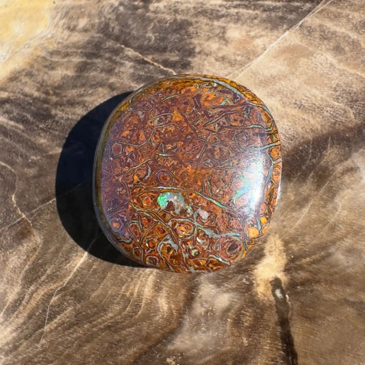 Polished Boulder Opal Cabochon showcasing vibrant play-of-color in a 12.2ct hand-cut design