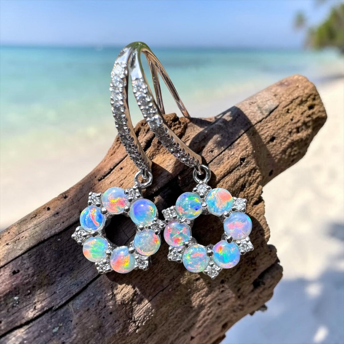 1.2ct Lightning Ridge Opal & 0.23ct Diamond Flower Hook Earrings ~ 'Kings Park Blossom' | 14ct White Gold | Solid Australian Opal