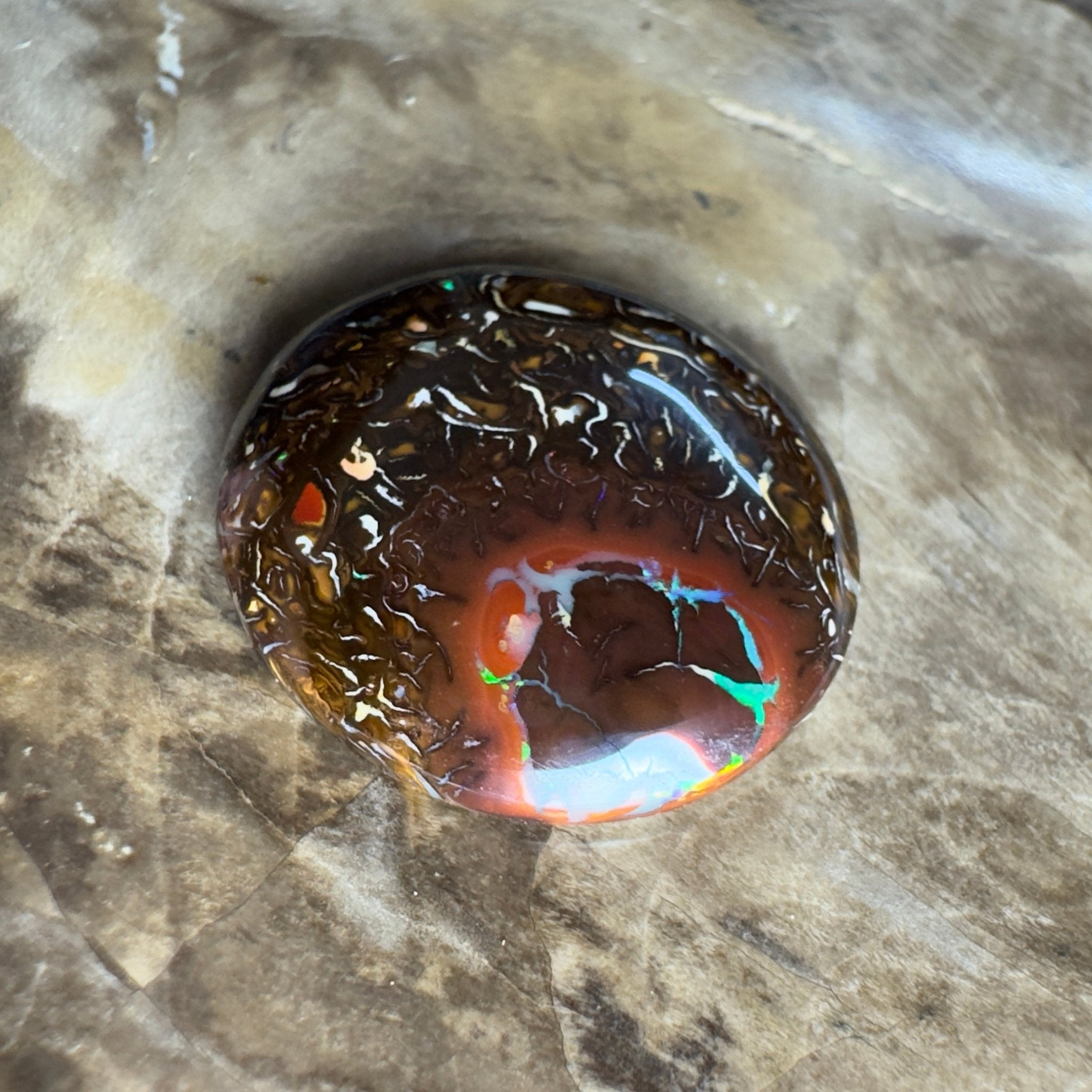 13.5ct Solid Queensland Boulder Opal