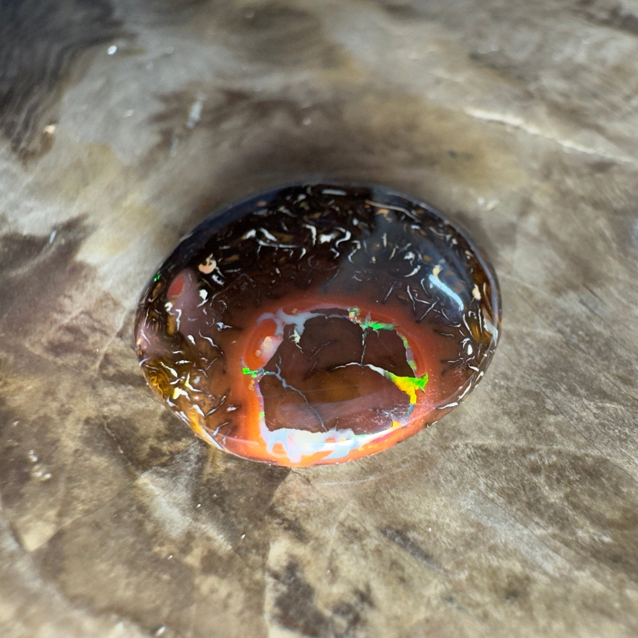 13.5ct Solid Queensland Boulder Opal