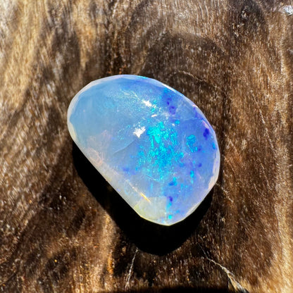 Lightning Ridge Opal 1.1carat Solid Hand-Cut Luxury - Iona Opal Australia