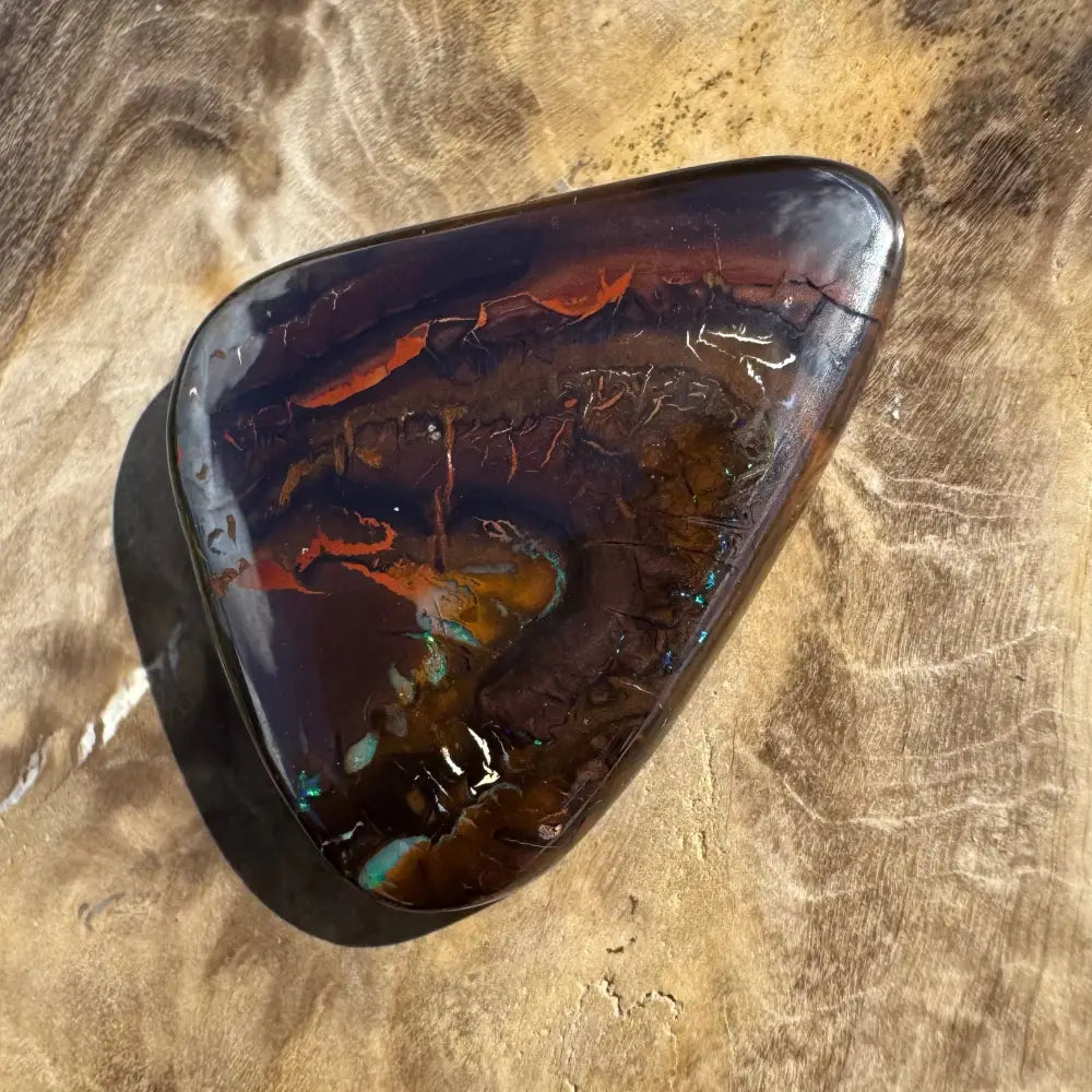 Polished, dark-toned opal with colorful inclusions.